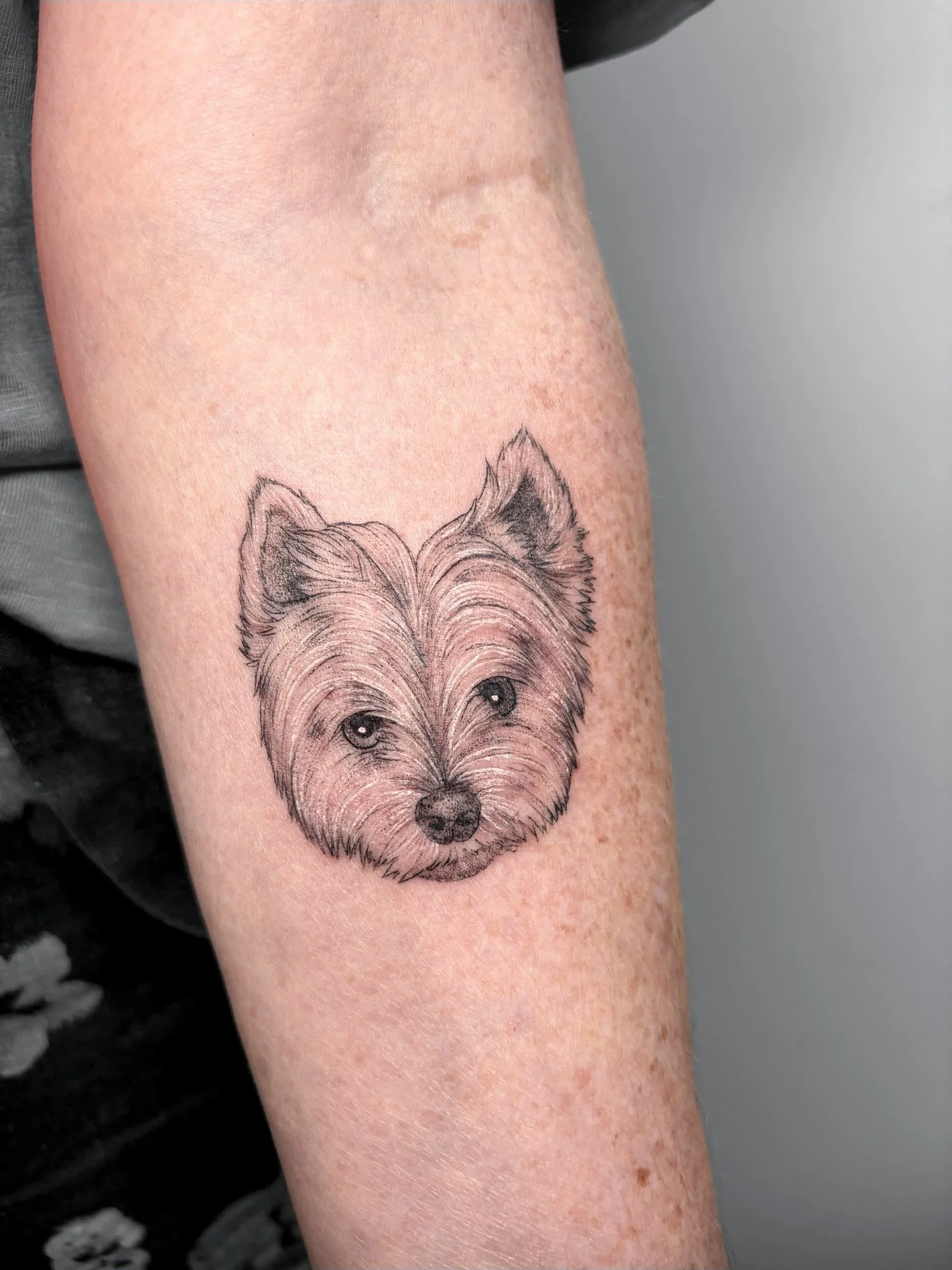 Pets hold such special places in our hearts, being able to do these memorial pieces is truly such an honour. 
I loved bringing dear Whoopi a little closer to my clients heart through this tattoo. 

#petportait #pettattoo #finelinetattoo #geelongtatto