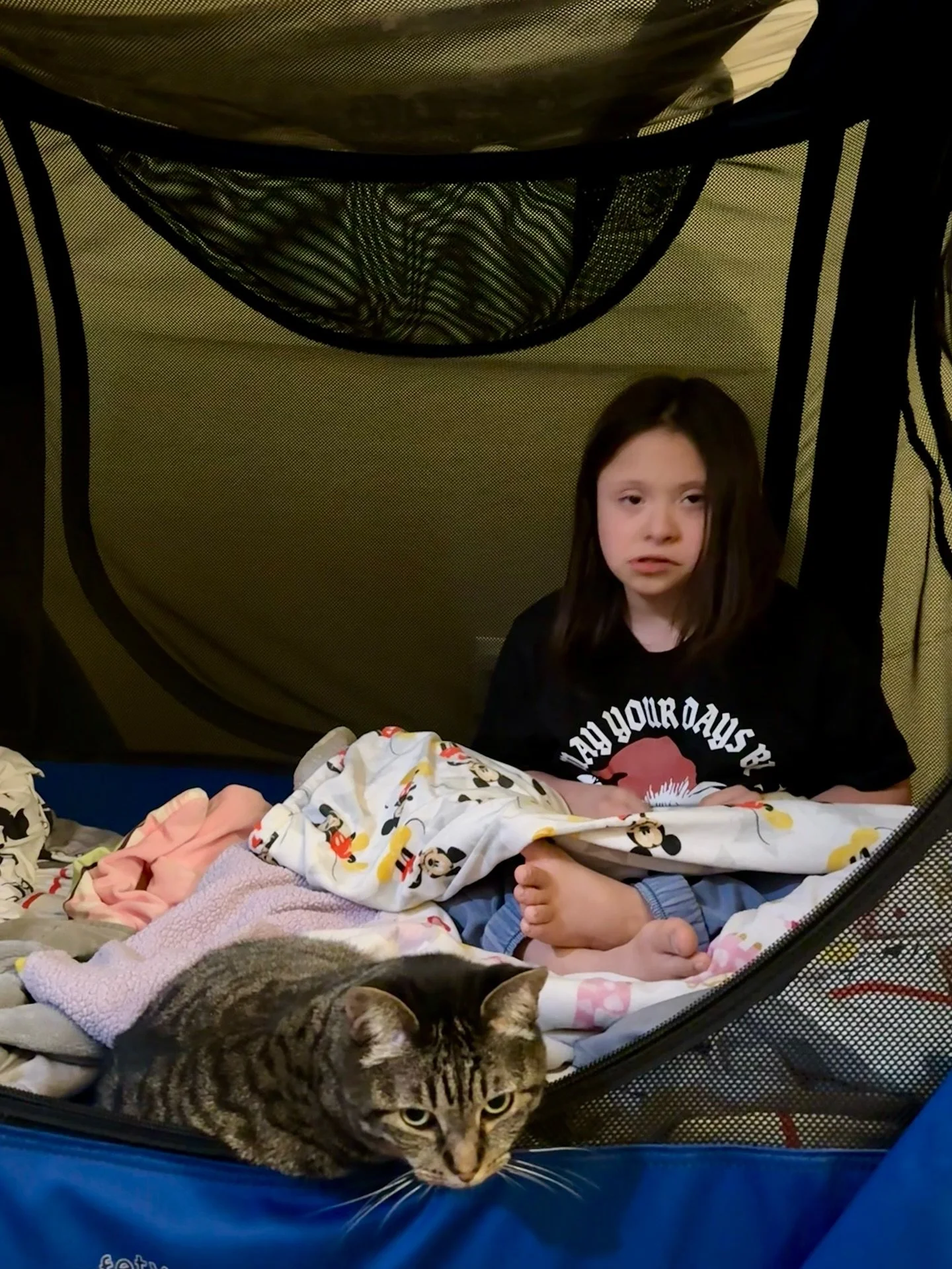 We&rsquo;ve had a few rough days around here. Adjusting to meds, time change, and just life can take a lot out of her. We always know when she&rsquo;s struggling the most because her kitty friends are right by her side. They calm her, protect her, an