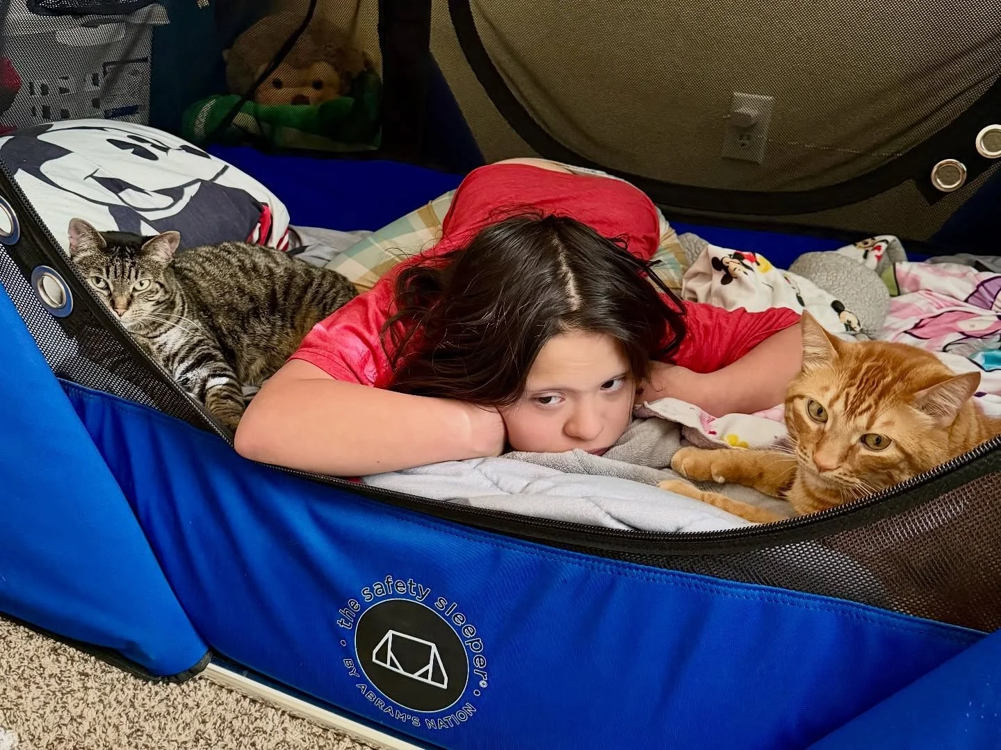 Her little buddies always meet her as soon as she wakes up 

#littlecatlady #juno #nala #peanut