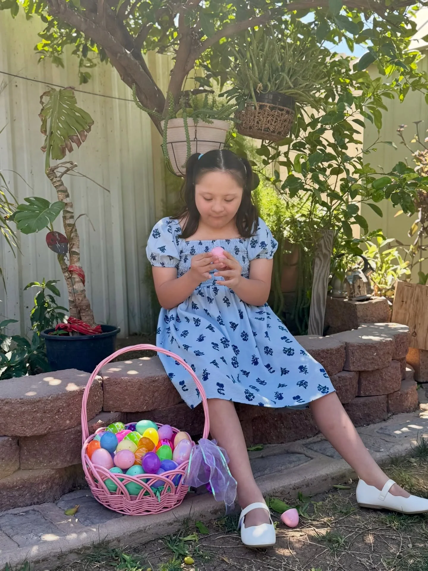 Happy Easter from our little Bunny 🐰