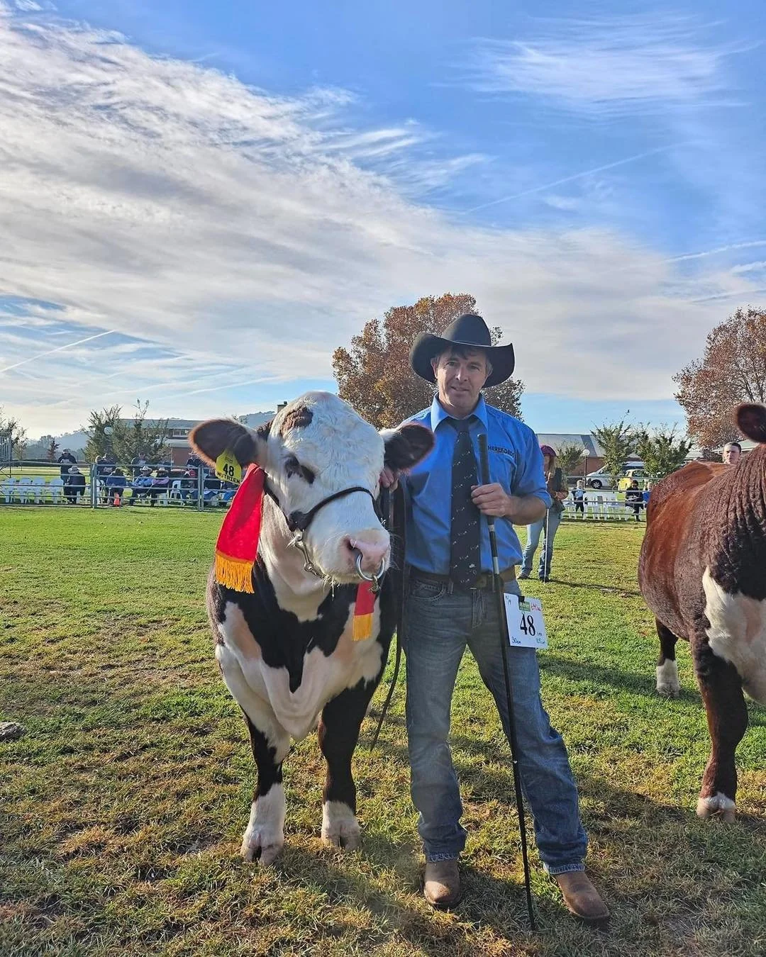 A great day out at the Herefords Australia National Show and Sale - Wodonga today in the show ring our Junior bulls placed the following:
Class 1 Results
2nd- Lot 48 SUGARLOAF ULTIMATE U128 (PP)
5th-Lot 51 SUGARLOAF UNBREAKABLE U127 

#herefordcattle