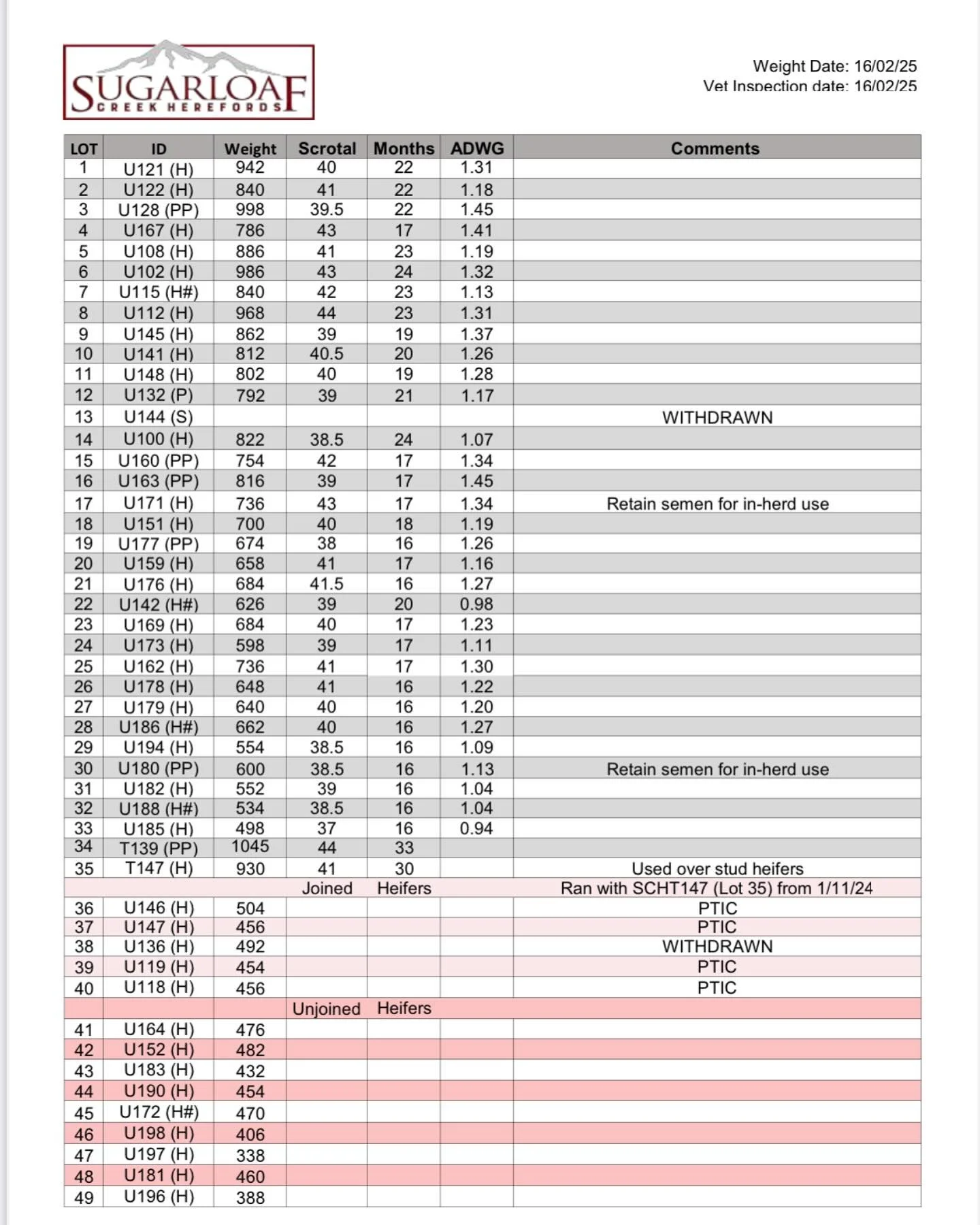 Sugarloaf Supplementary Sheet for Monday 24th Feb, 2025. Sale 1pm.