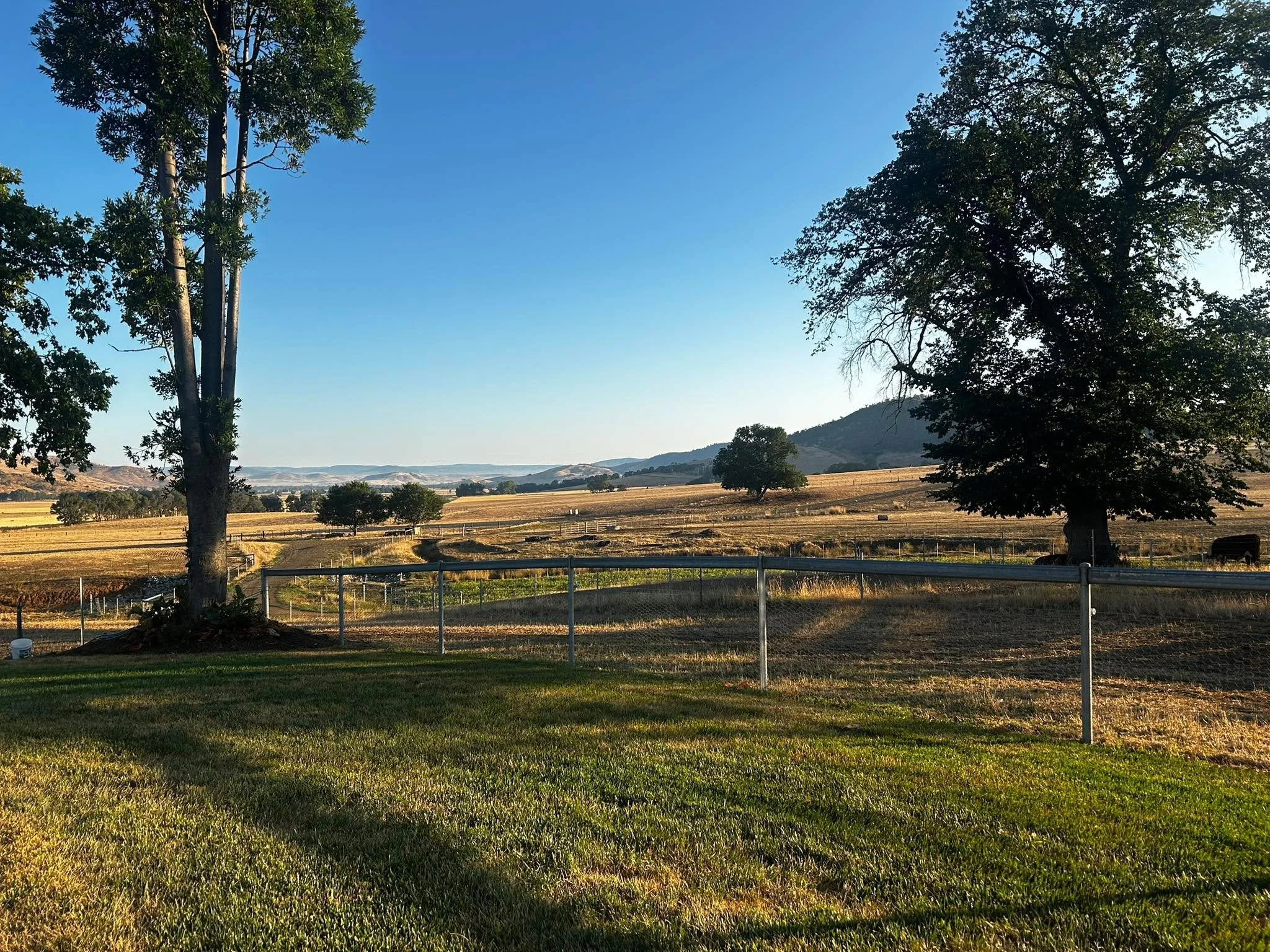 Clear skys, no smoke, 7.5ml rain. It&rsquo;s going to be a great day! 😊