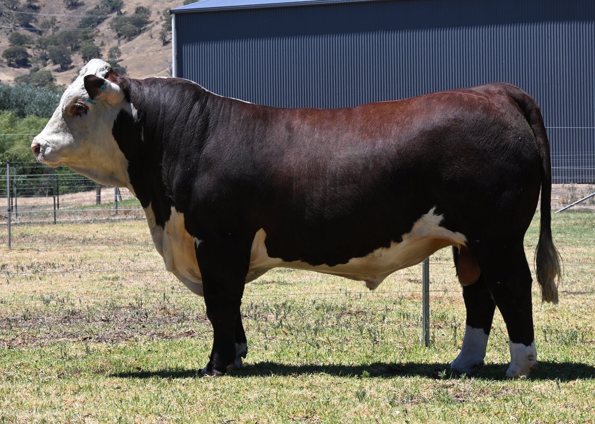 Lot 1 - Sugarloaf Validate V204 (H)

https://i4.abri.au/online/cgi-bin/i4.dll?1=2A2C3E293E&amp;2=2420&amp;3=56&amp;5=2B3C2B3C3A&amp;6=5E5C255825245820&amp;9=5C5B5F5B

Selling on property, Monday 23rd February 2026.

 #herefordsaustralia #Hereford #nu