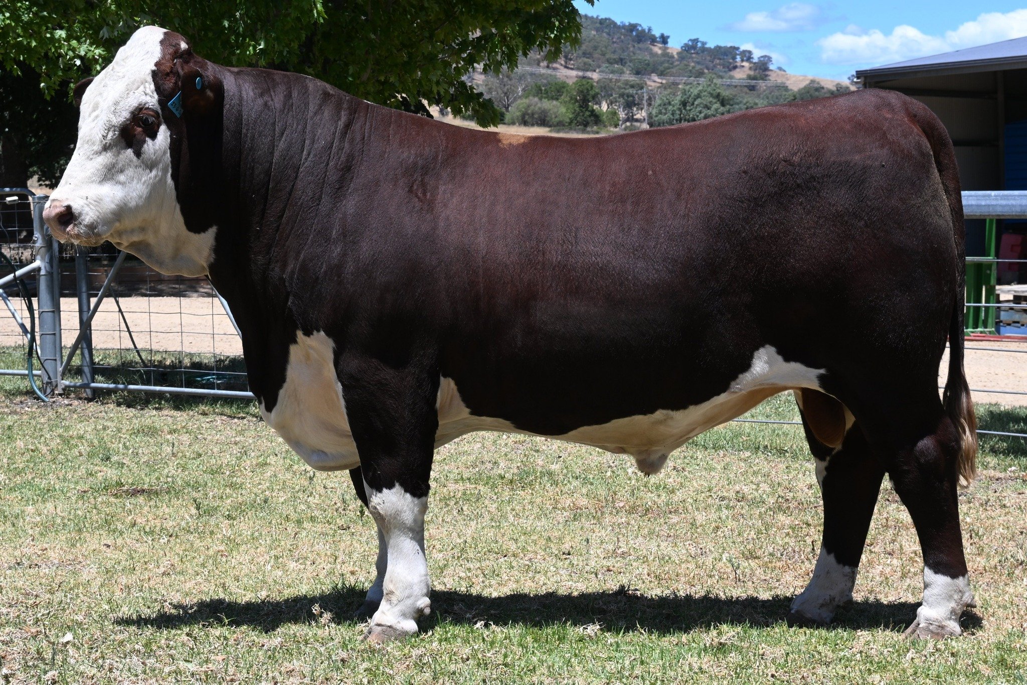 Lot 2 - Sugarloaf Vandam V221 (H)

https://i4.abri.au/online/cgi-bin/i4.dll?1=2A2C3E293E&amp;2=2420&amp;3=56&amp;5=2B3C2B3C3A&amp;6=5E5C25582524242F&amp;9=5C5B5E59

Selling on property, Monday 23rd February 2026.

 #Hereford #herefordsaustralia #paul