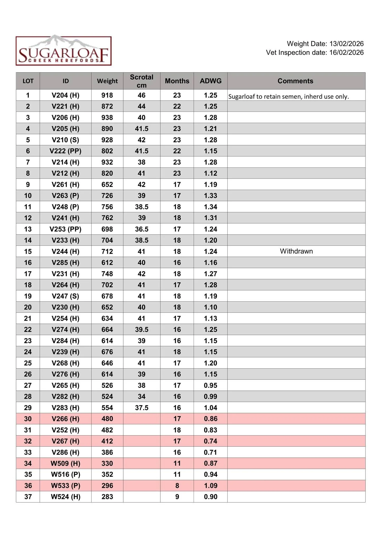 Updated Supplementary Sheet Available.

Sugarloaf On-Property Bull &amp; Female Sale
 Monday 23rd February, 2026
 Inspections from 10:30am
 Sale commences at 1:00pm

https://auctionsplus.com.au/auctions/cattle/sugarloaf-creek-herefords-on-property-bu