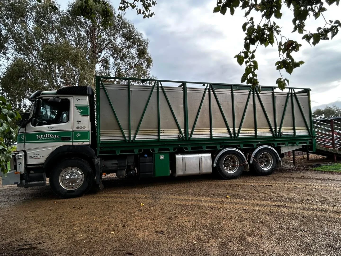 Bulls have departed this morning en route to Benambra, Omeo, Ensay, Buchan &amp; Dargo. Thanks to Danny from Britton's Contracting for delivery. 🌟