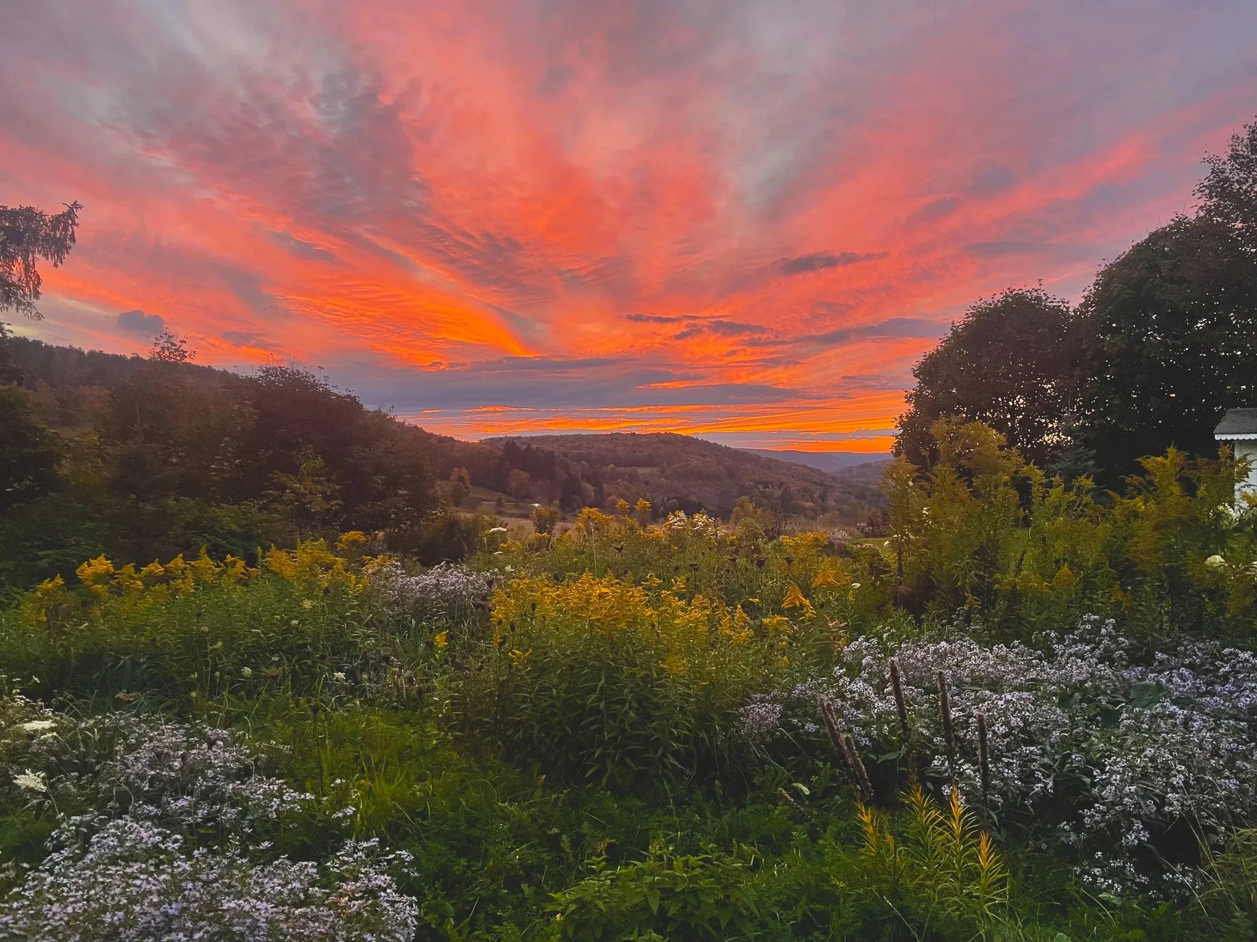After Thomas Cole: a four-year, four-season study of regenerative land use, tracing the conversion of grazing land into a pigment farm in the western Catskills of New York State