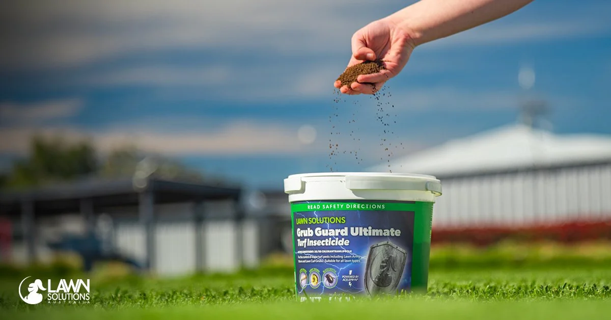 preventing-a-grub-attack-1.jpg