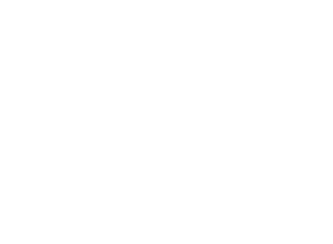 LSA.png