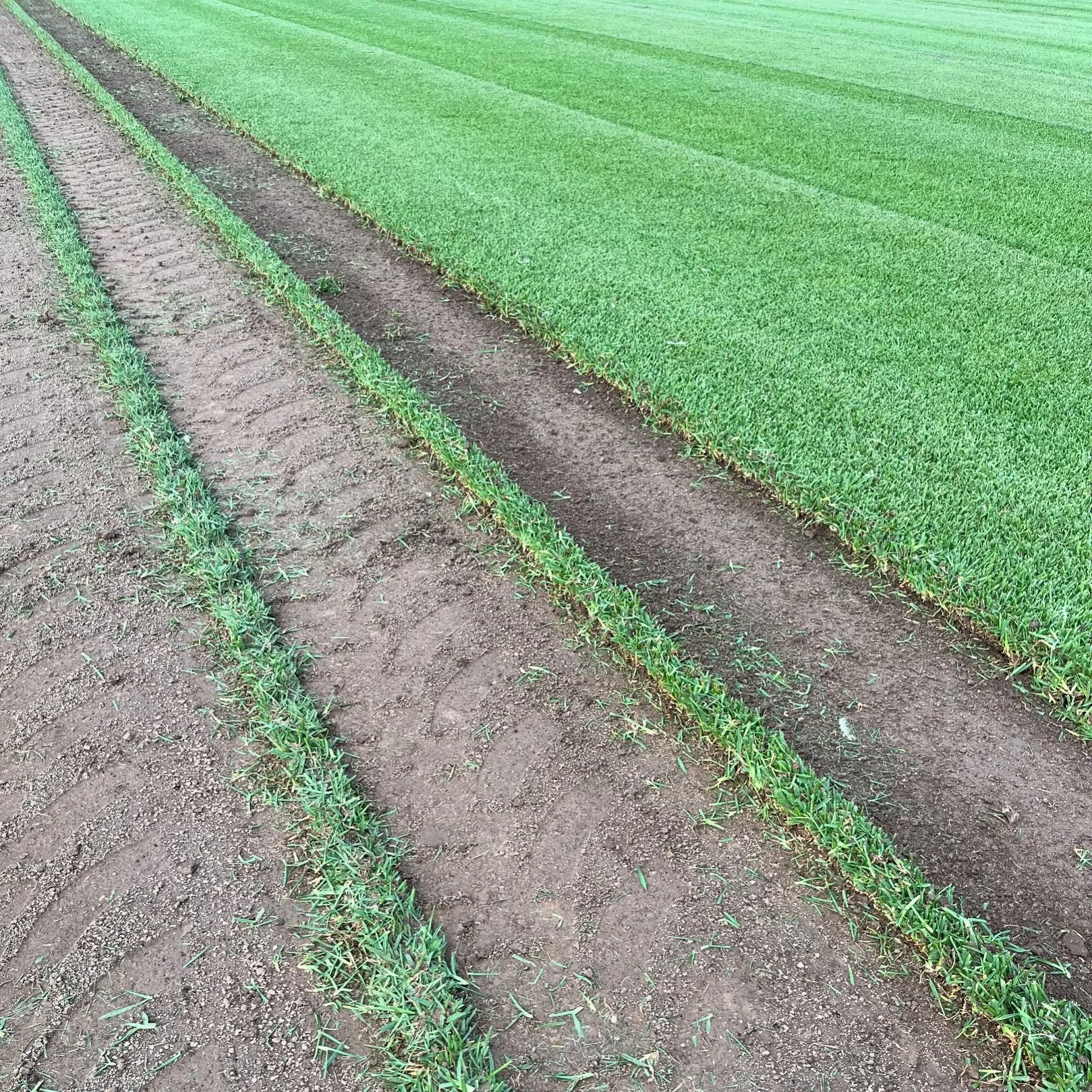 Delivery to Coffs Harbour