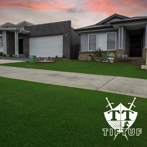 TifTuf Hybrid Bermuda Grass