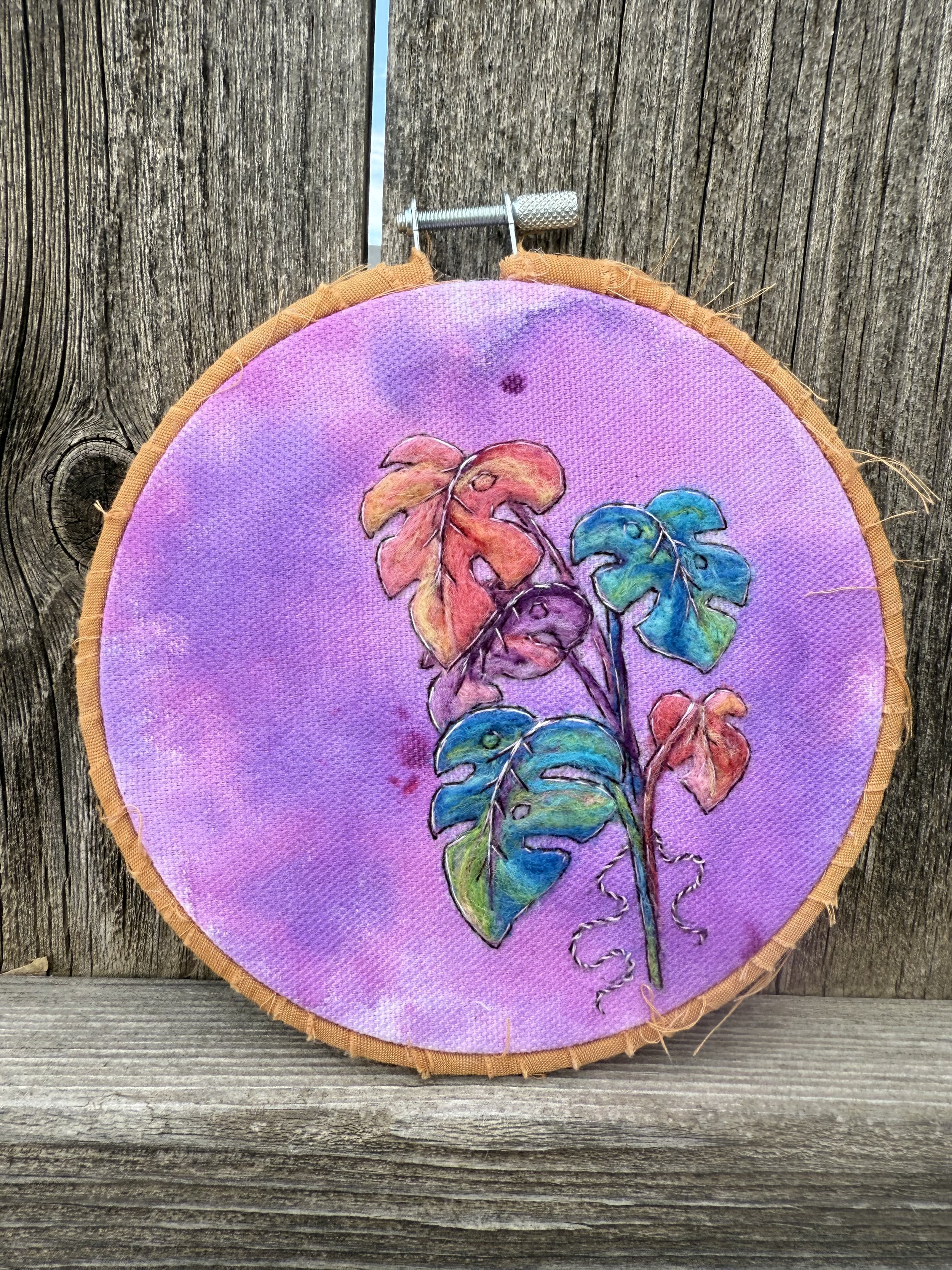 Variegated Rainbow Monstera Deliciosia