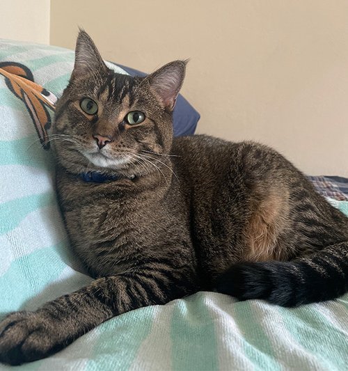 Animals_0000_SHERRY.jpg