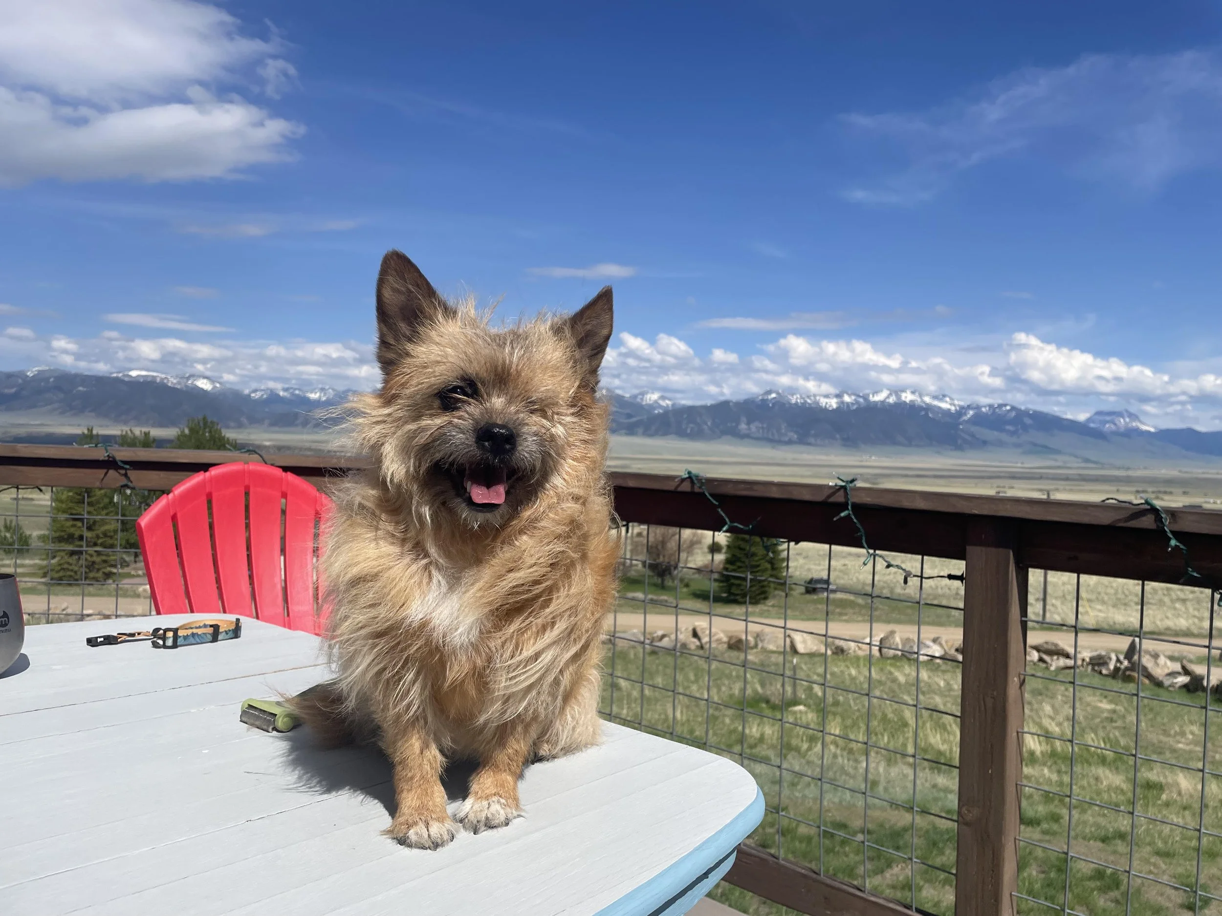 Louise Kristina Montana.jpg