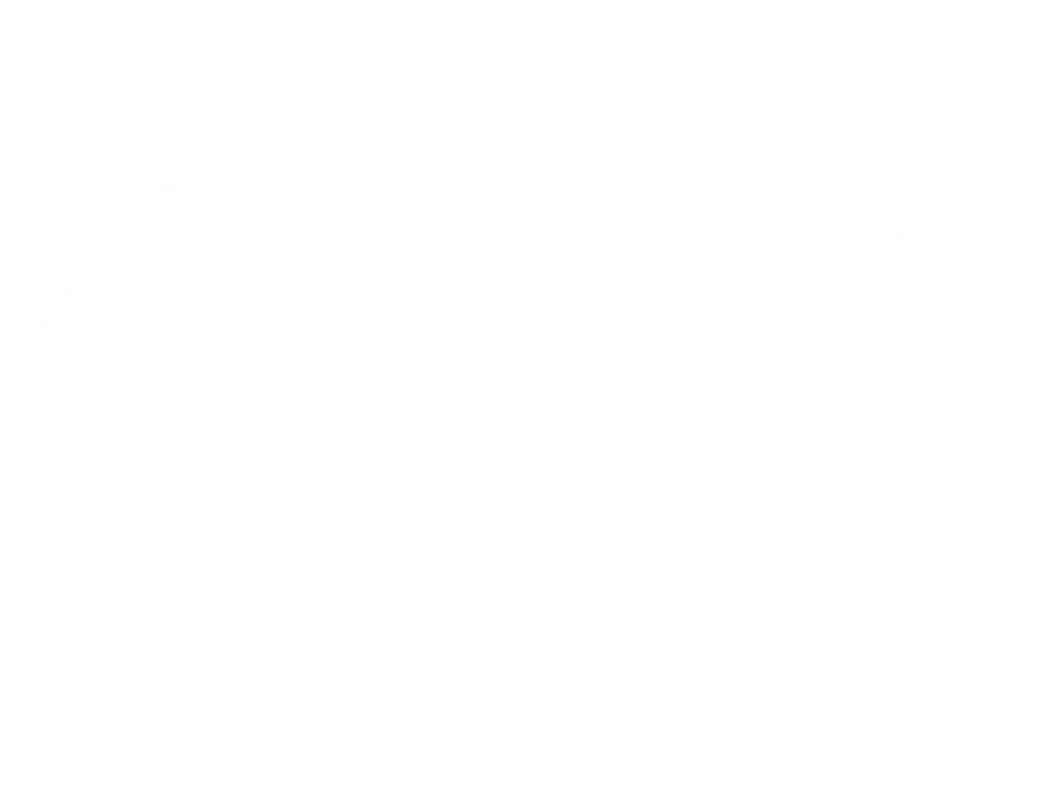 WHEELS'N'THRILLS