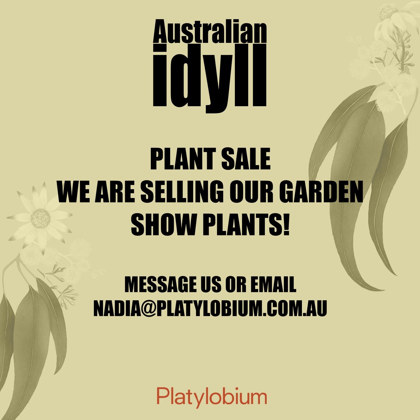 Plant sale! 

We are selling our garden show plants, to purchase simply send us a DM or email nadia@platylobium.com.au