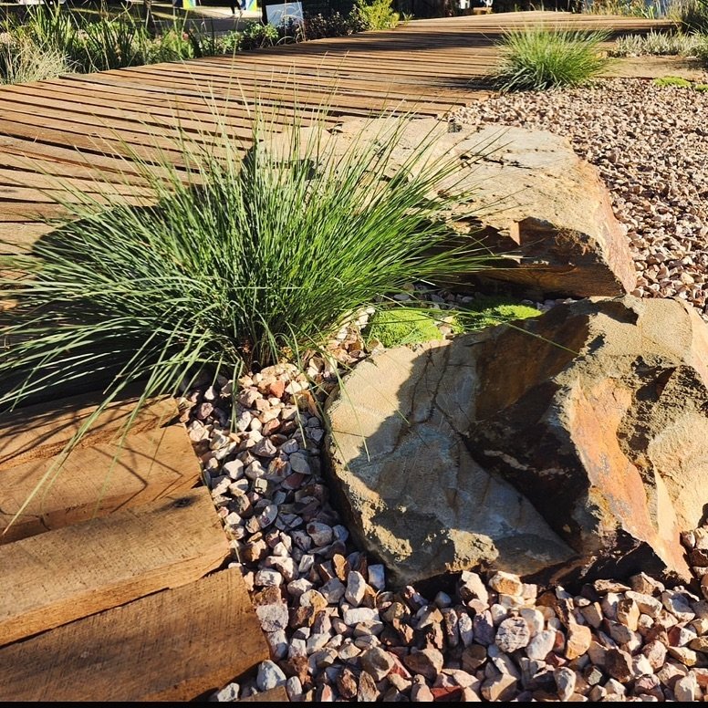 Boardwalk and Castlemaine Rock details!! 

&hellip;. And did you see the new Lomandra species? 
Lomandra &lsquo;True Blue&rsquo; &hellip;. Coming out soon!