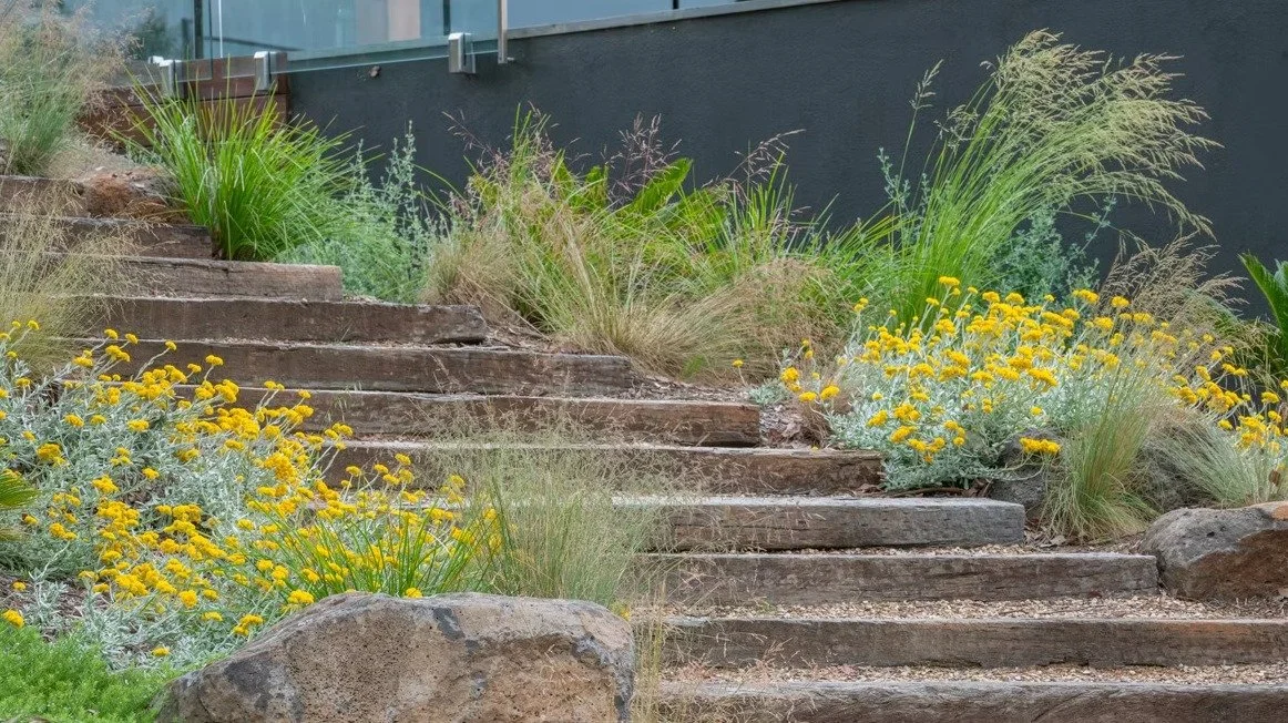 One of our favourite projects from many moons ago in Hurstbridge with ID Landscapes!

Flowy native grasses, sculptural ground covers, and just the right pop of colour &ndash; creating a timeless Australian native garden design. The use of AA grade ra