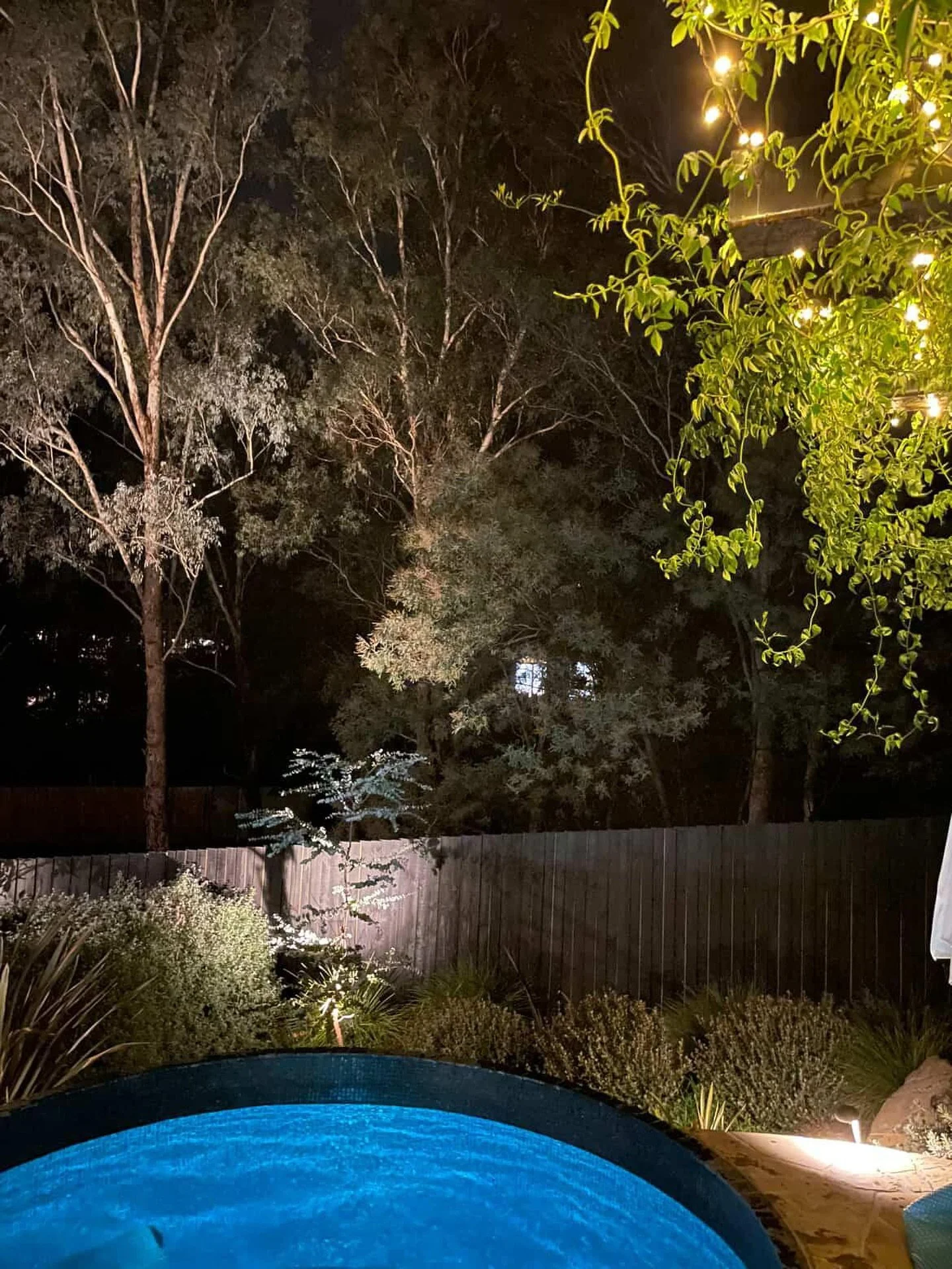 Getting the plunge pool nice and warm for a night swim ✨🌙 This garden was one we designed a few years back in Eltham, and it&rsquo;s so rewarding to see the plant growth settling in beautifully. That night-time outlook from the pool &ndash; framed b