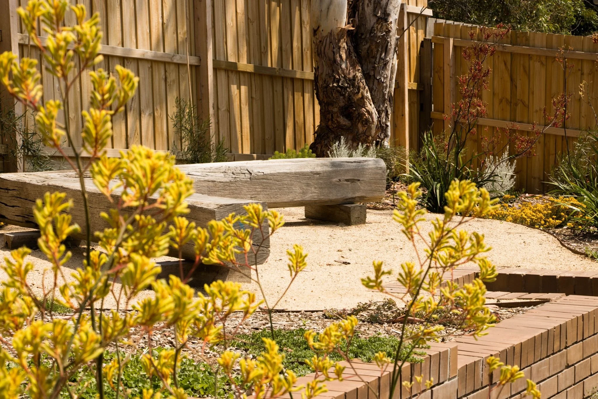 WhatsApp Image 2026-01-21 at 8.47.36 PM.jpeg