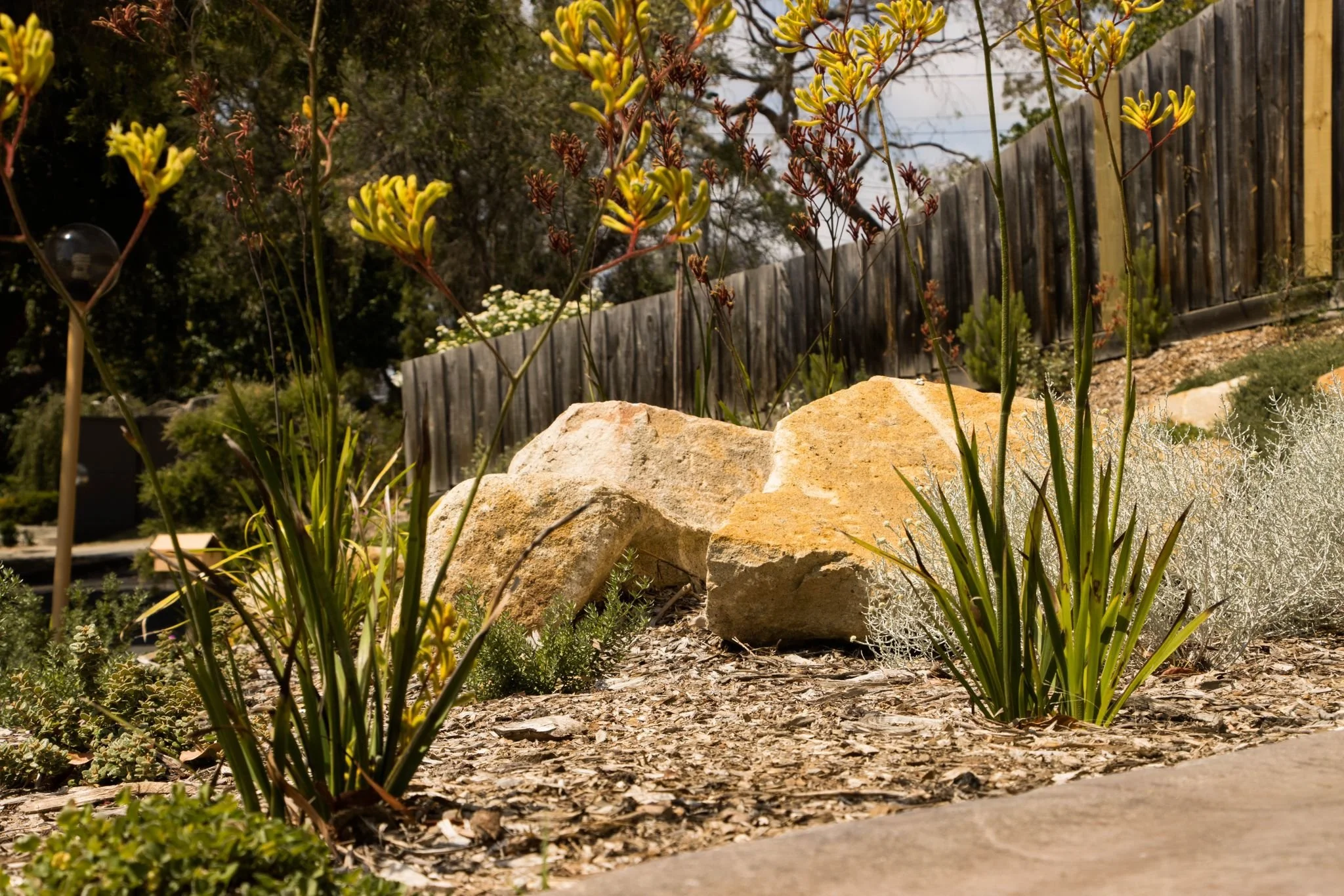 WhatsApp Image 2026-01-21 at 8.47.30 PM (1).jpeg