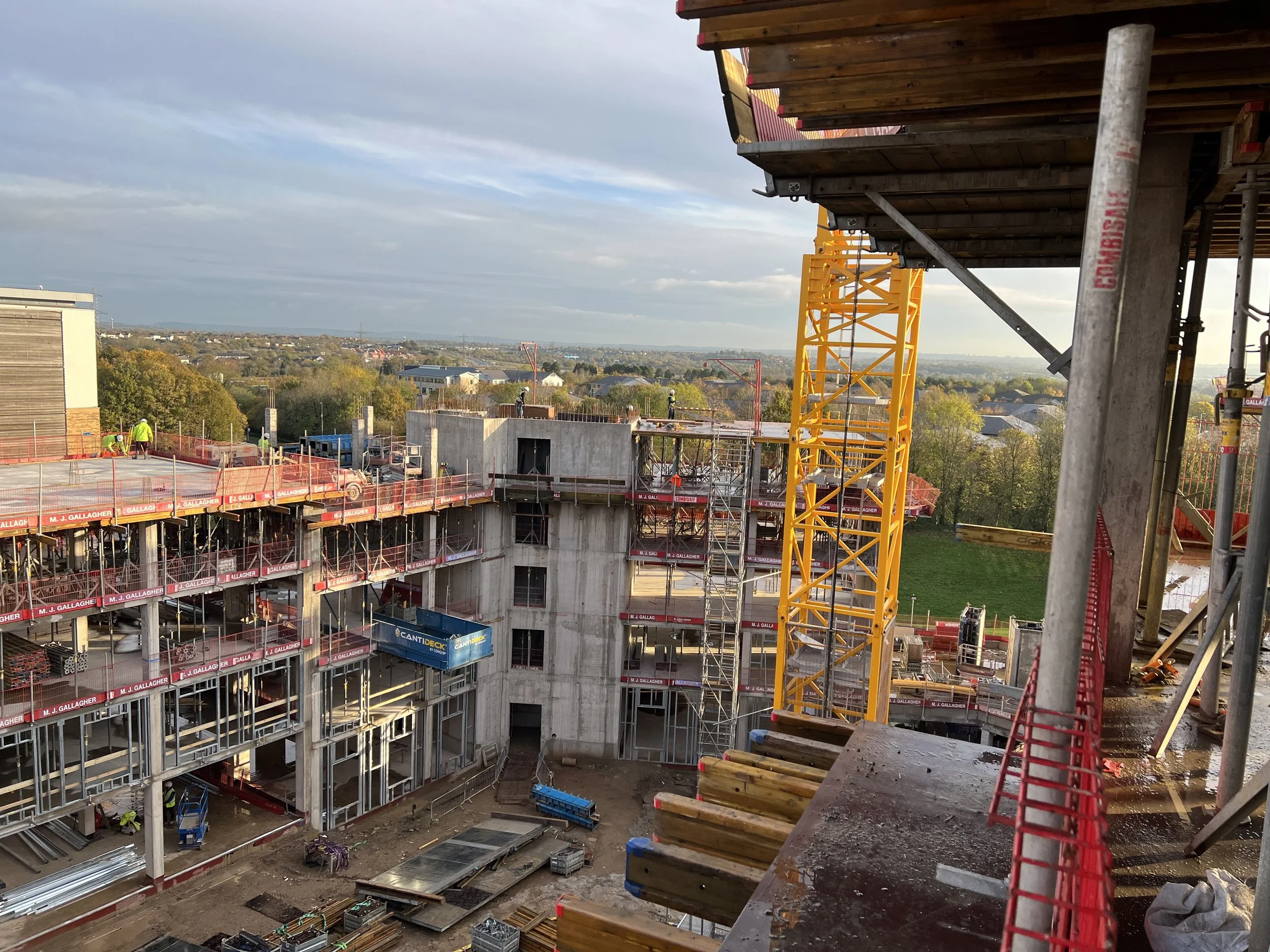 785 2022-11-17 AM (12).JPG