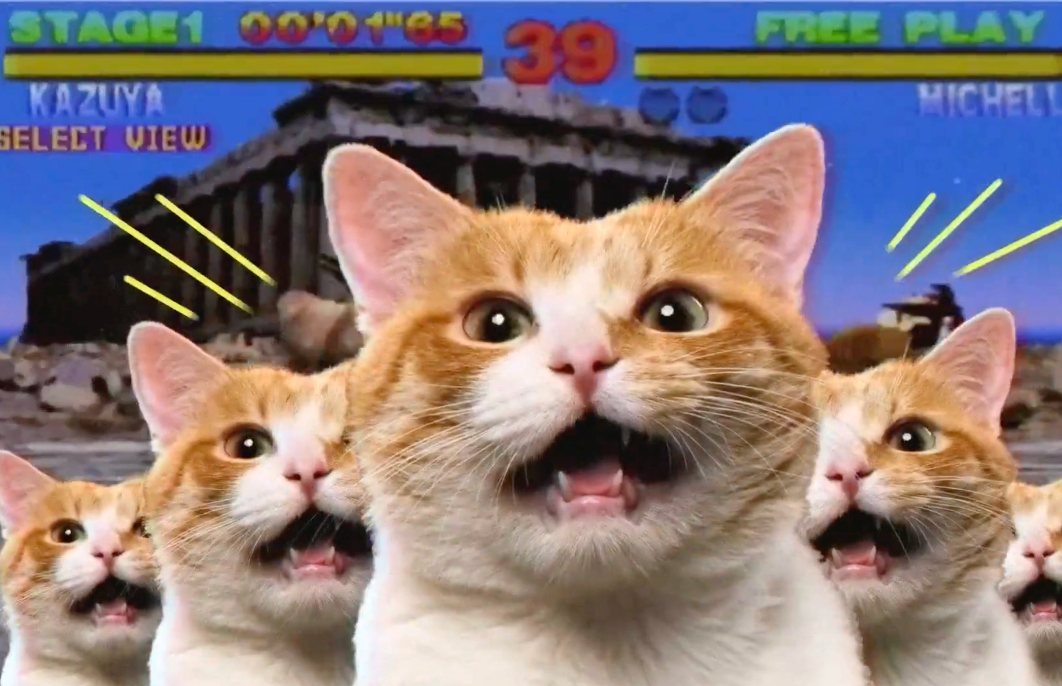 Bandai — International Cat Day