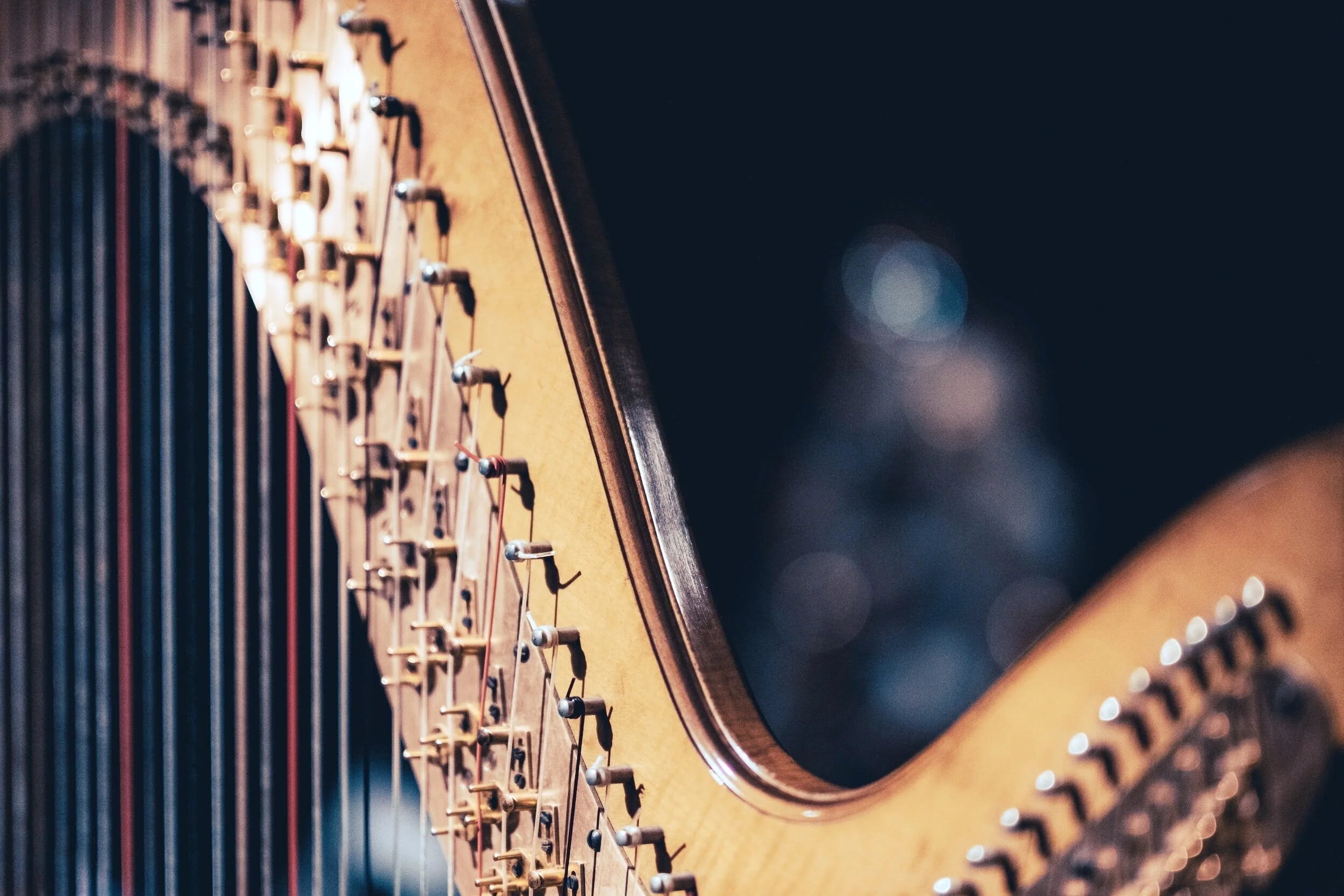 strings on a harp