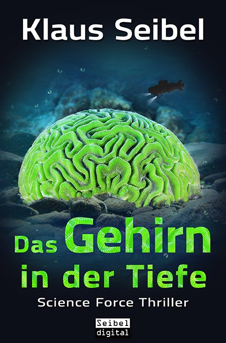 Grafik-Design-Ponge-Buchcover-SF_Gehirn_BC.jpg