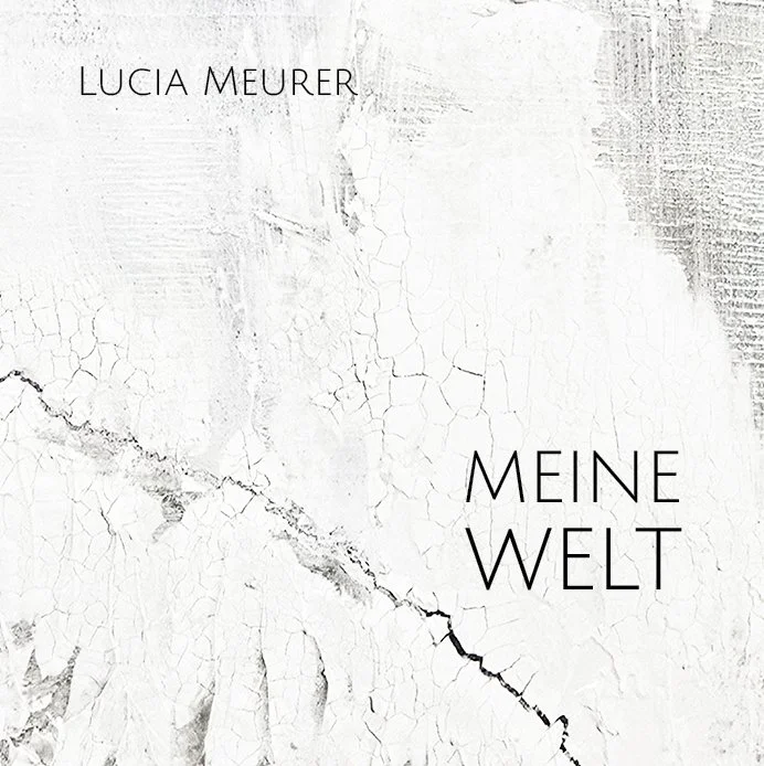 Buch-Meine-Welt-Umschlag-Titel.jpg