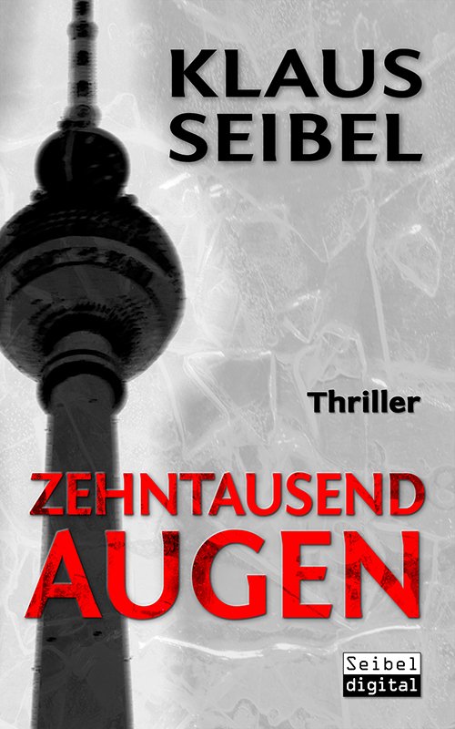 Grafik-Design-Ponge-Buchcover-10000-Augen.jpg