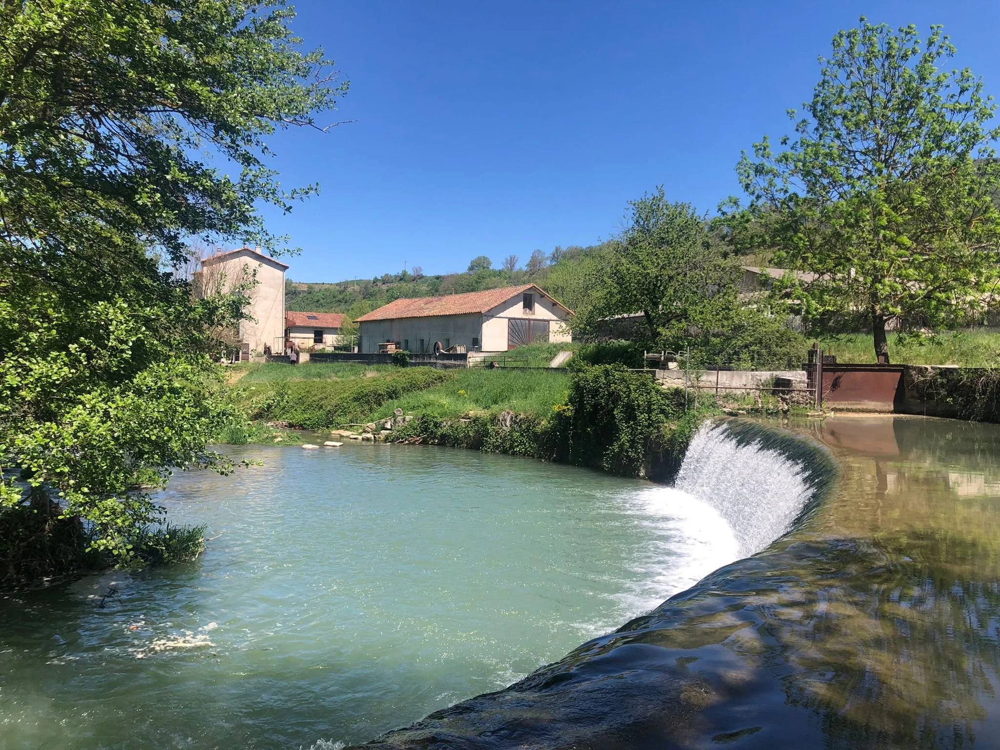 IMG-20230512-WA0042 (1) - Copy.jpg