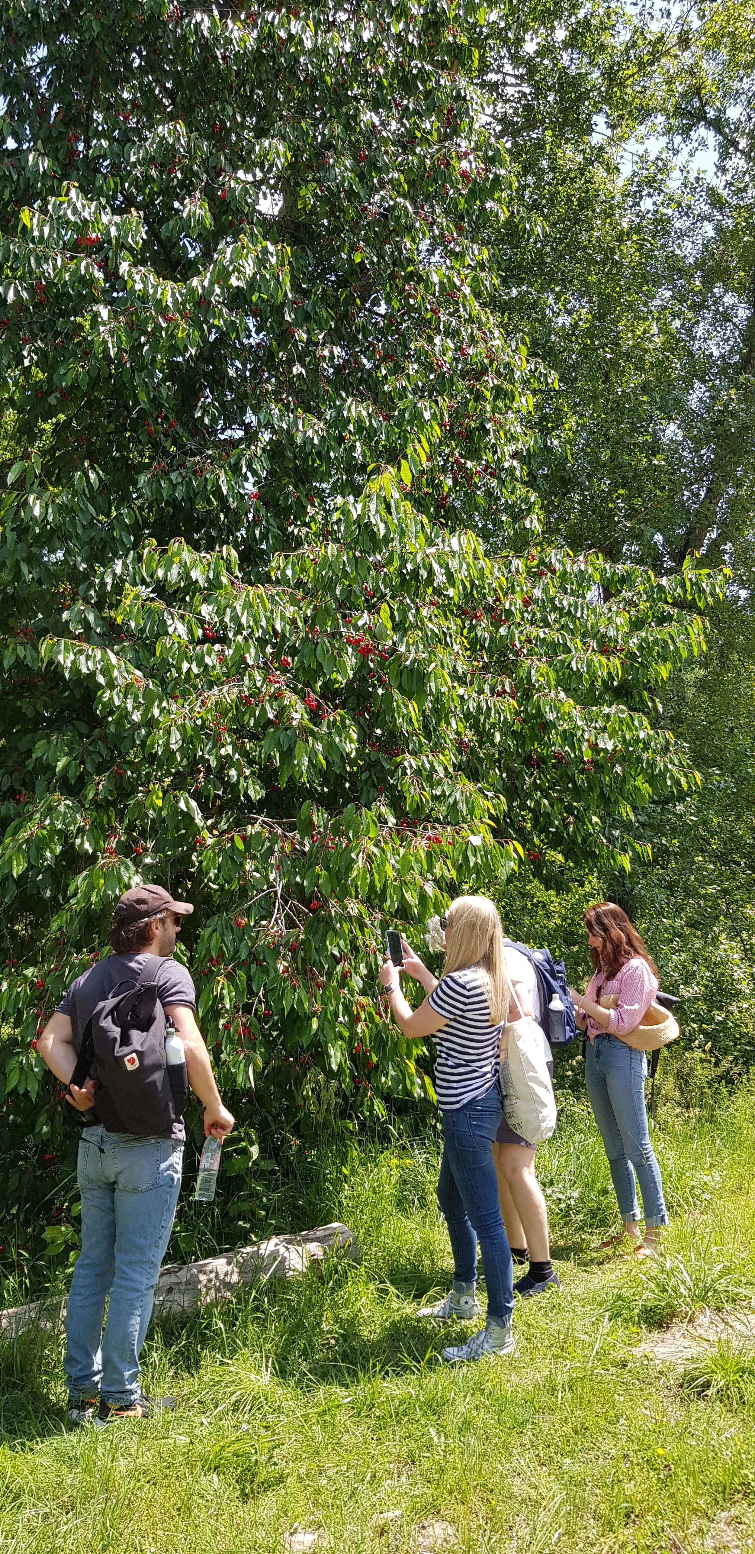 TESTIMONIAL IMAGE 3.jpg