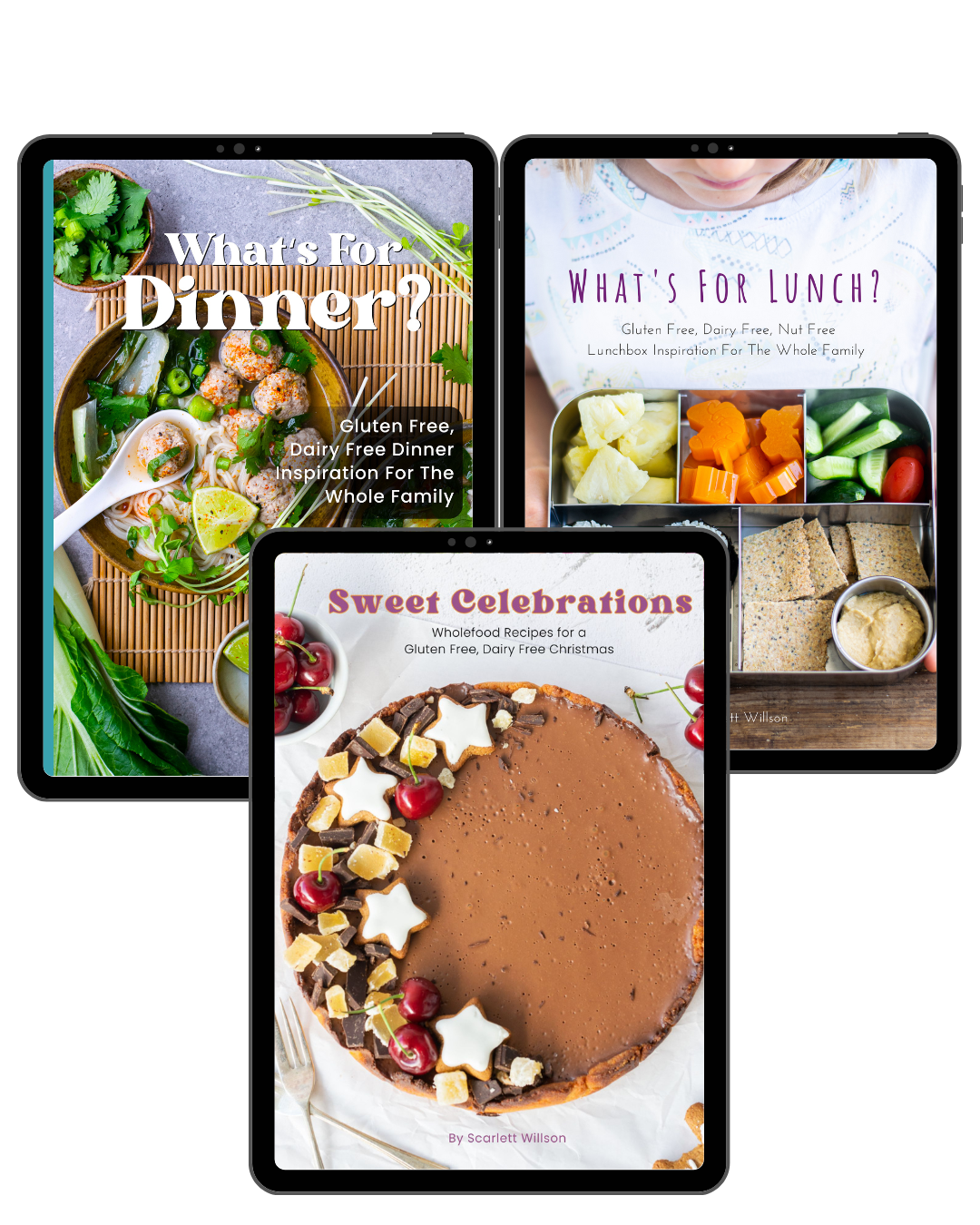 Dinner, Lunchbox and Christmas Bundle
