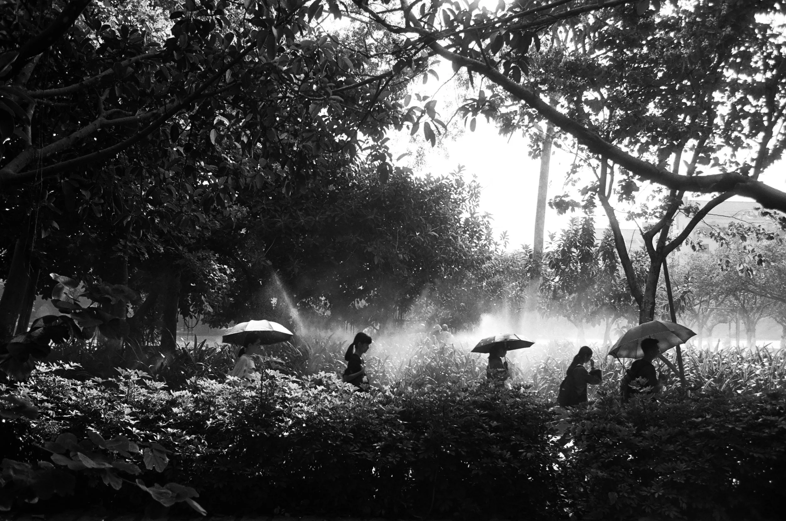 china parasol gang (1 von 1).jpg