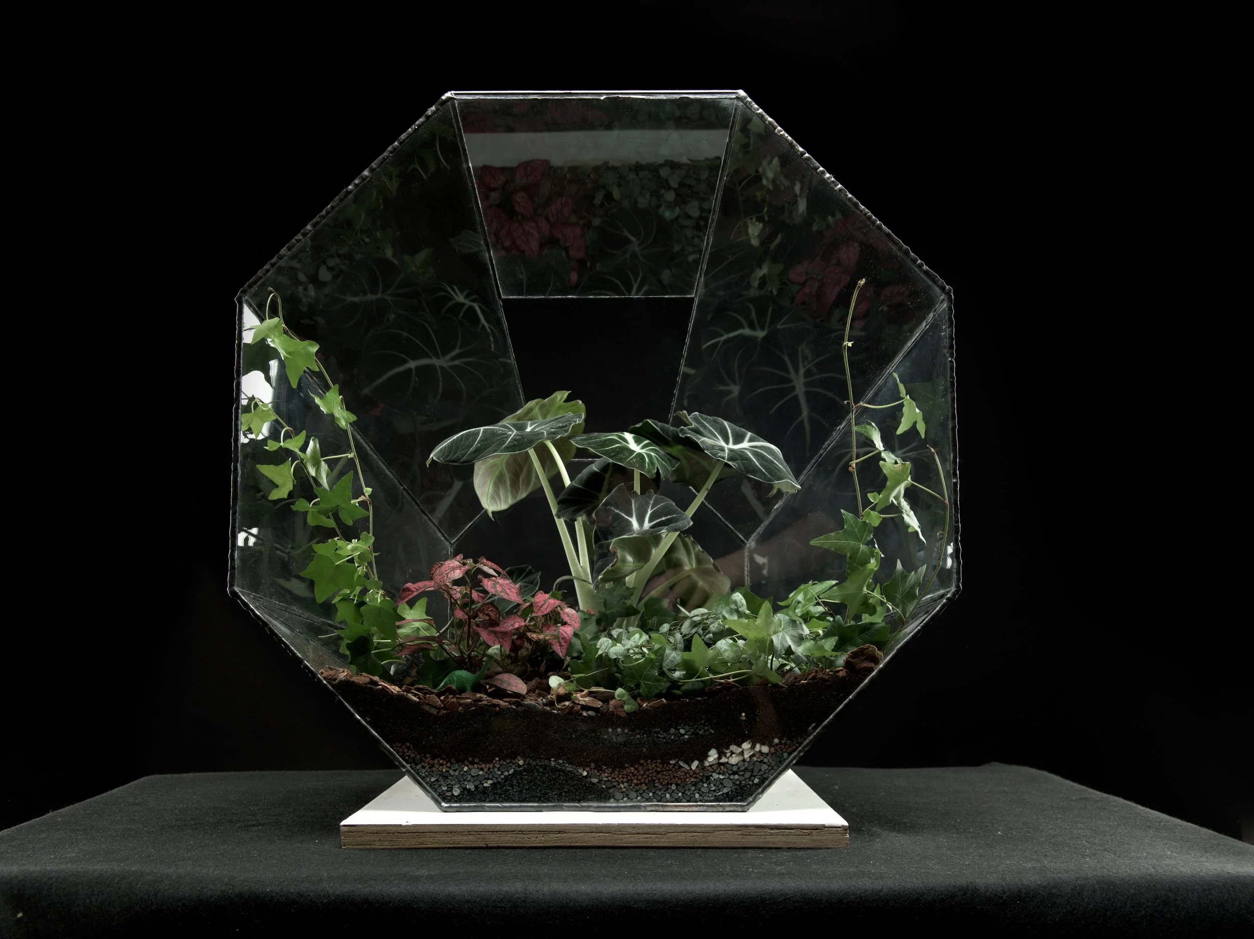 big second lad edited.jpg