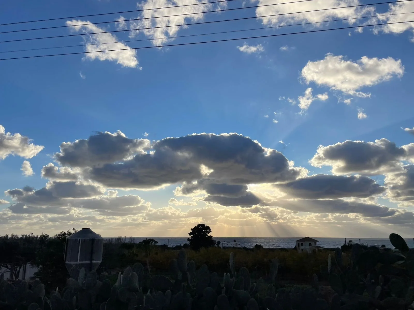 Festive 500 20256.jpeg