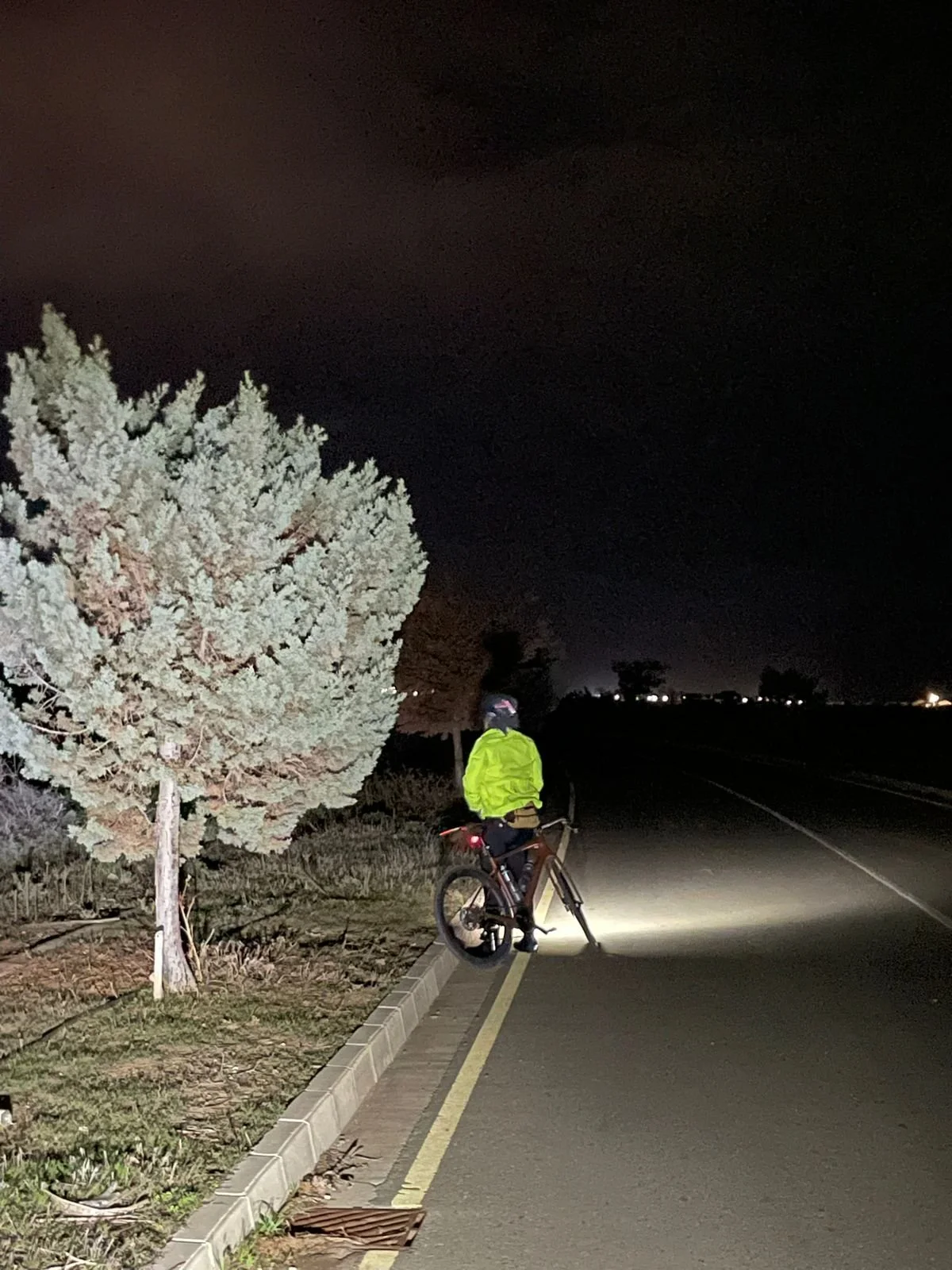 Festive 500 20259.jpeg