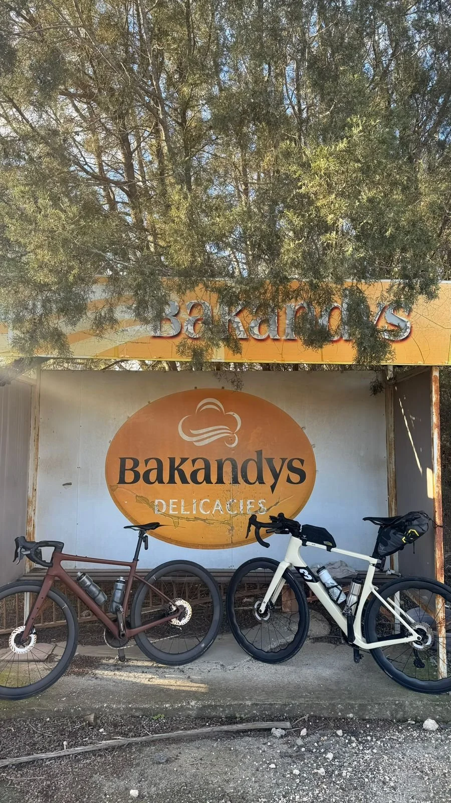 Festive 500 202514.jpeg