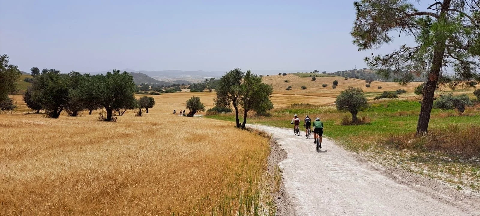 Gravel+Cyprus.jpeg