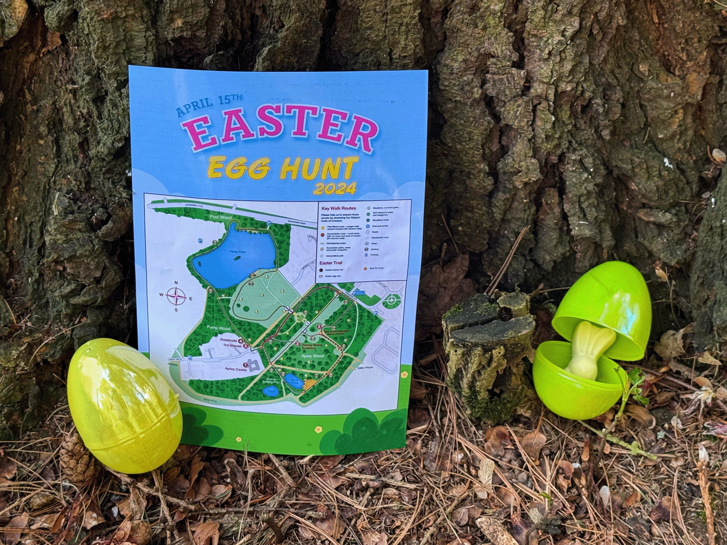 Map of Easter Egg Hunt 2024 flyer placed on a tree with eggs.