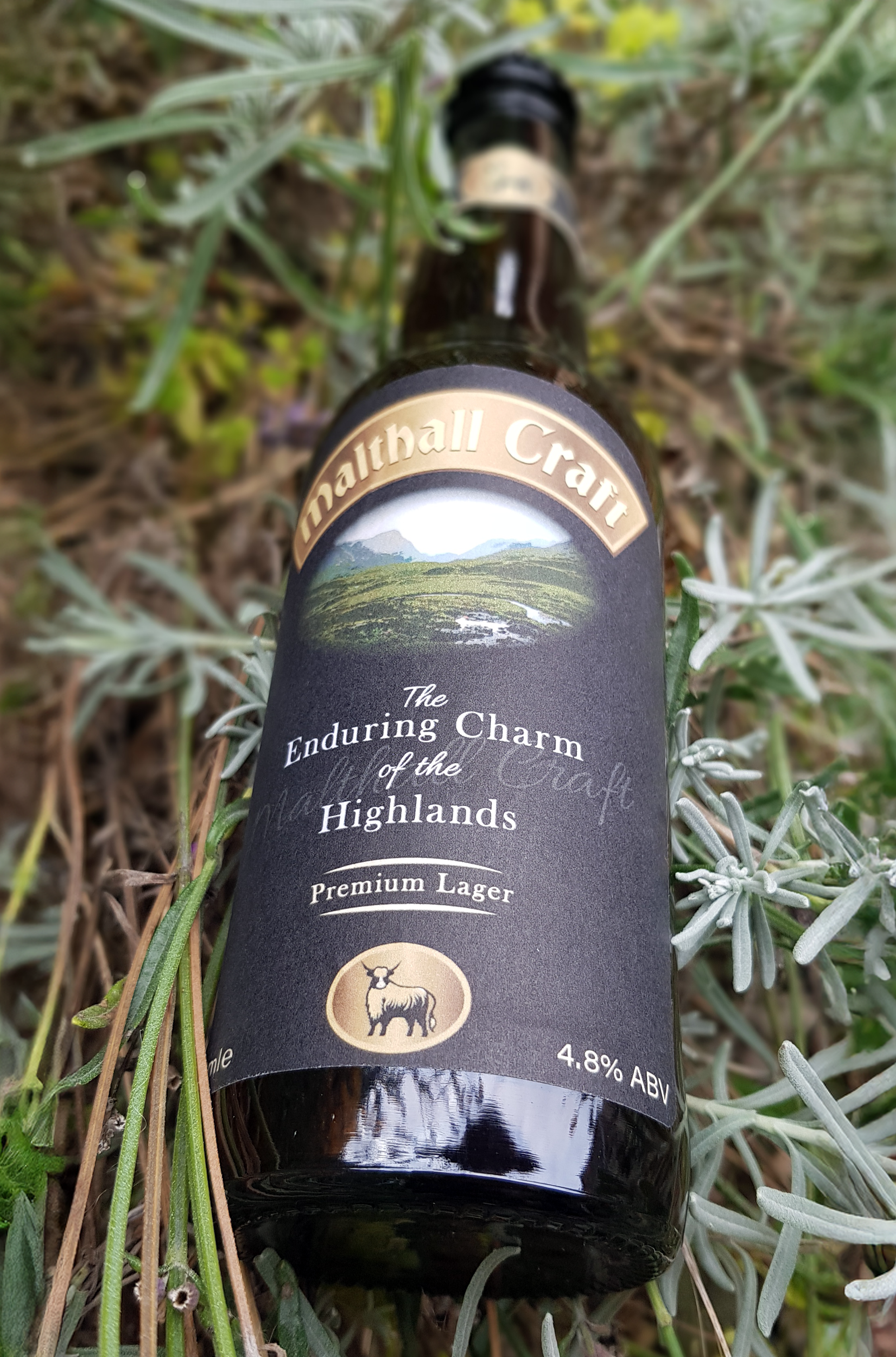 Malthall Craft Beer Bottle front 1.