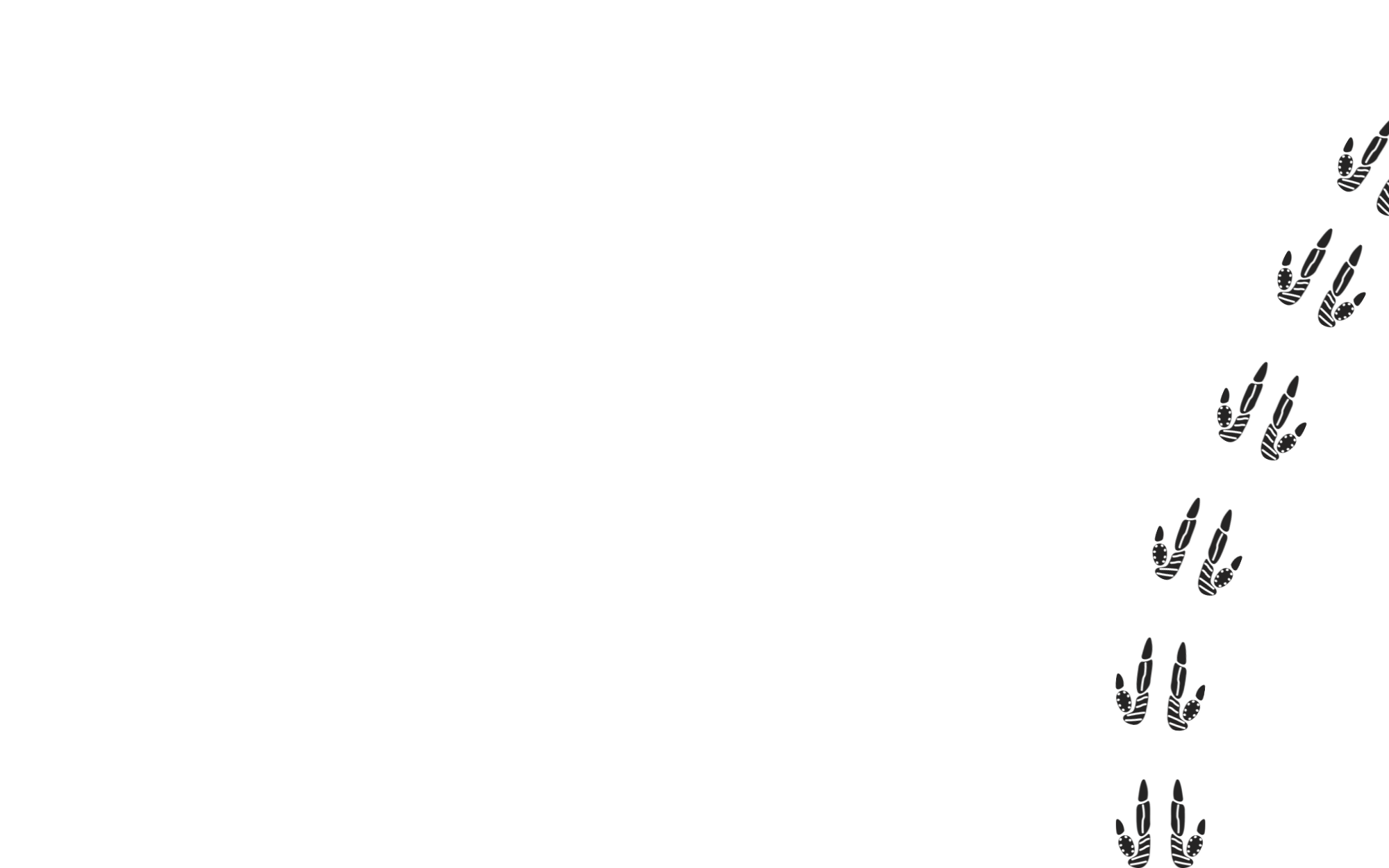 Career Opportunities In Mining And Civil Construction MDM Mining career-opportunities-in-mining-and-civil-construction-mdm-mining