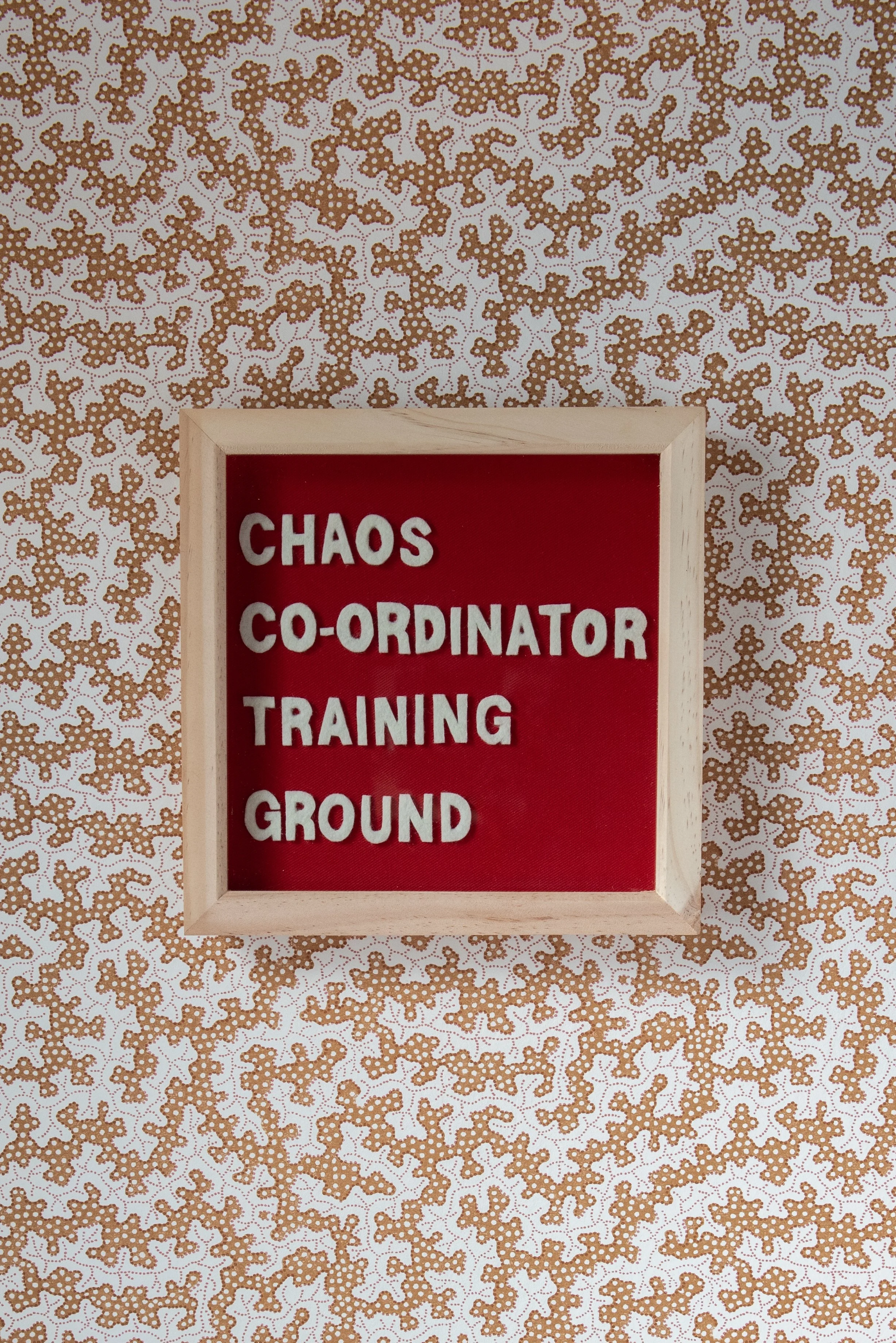 julia currie photography-160.JPG