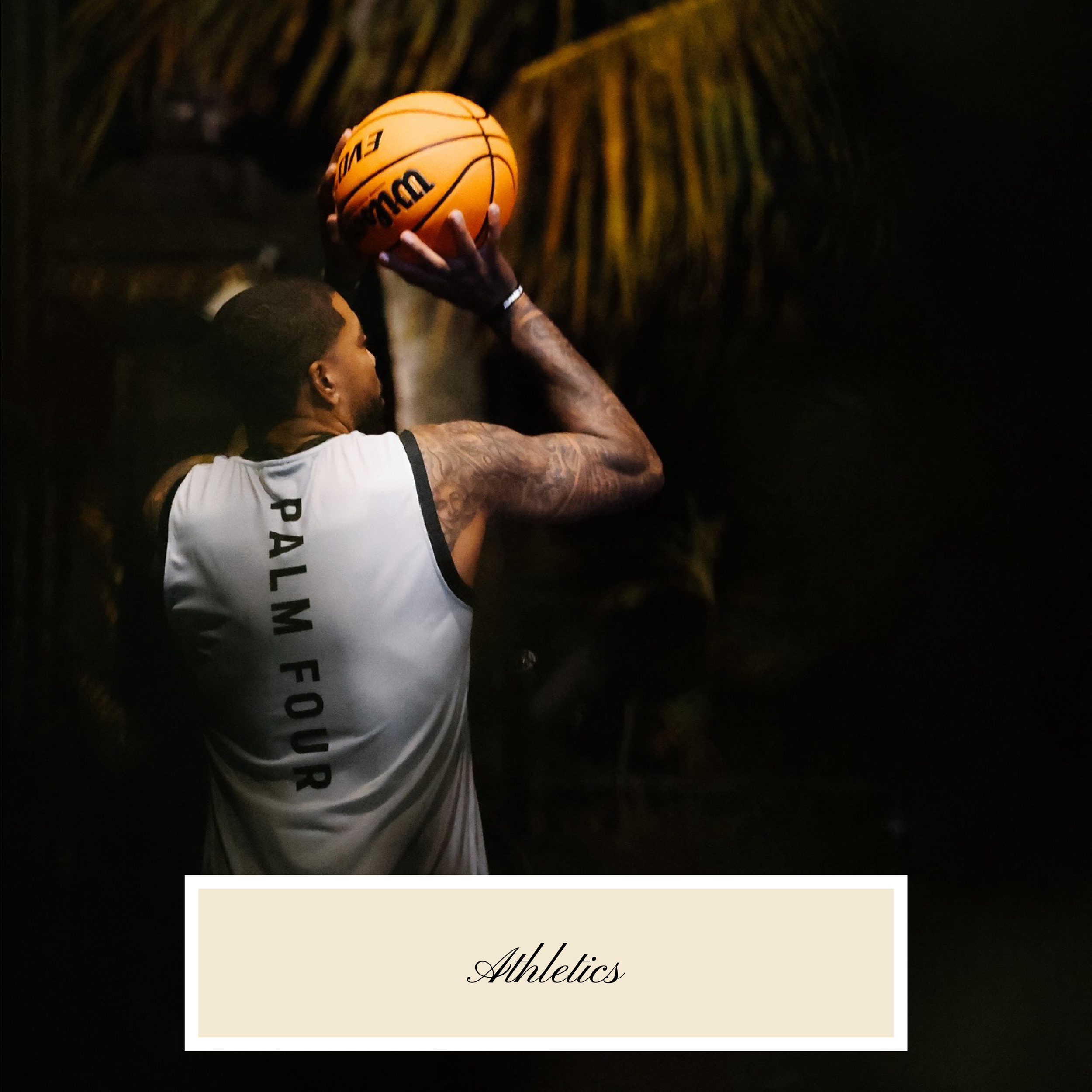 website 12-01.png