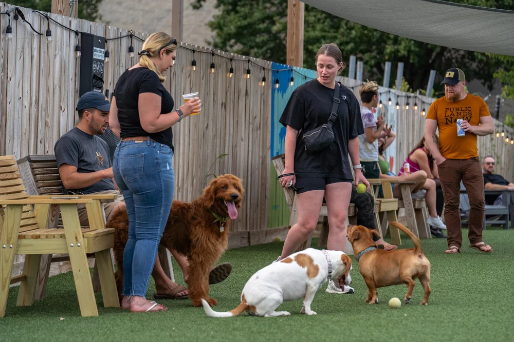 Ruff Park Rules — Ruff Canine Club
