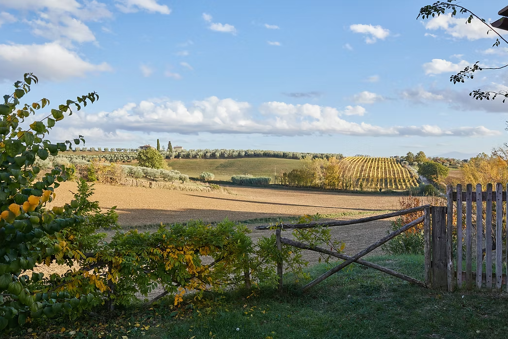 Snímek obrazovky 2026-03-06 154321.png