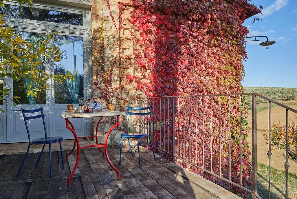 Snímek obrazovky 2026-03-06 155740.png