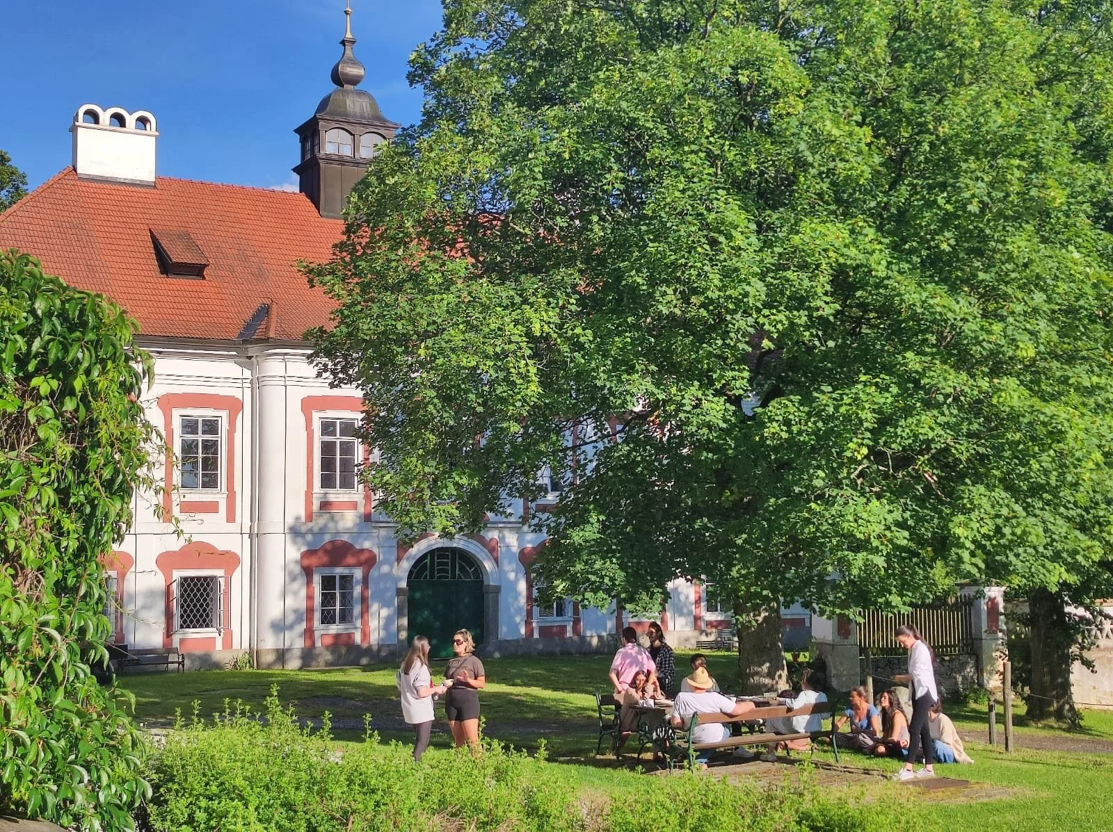 c337e91e-27d1-4ce3-9bea-edd90313a759 (1).jpg